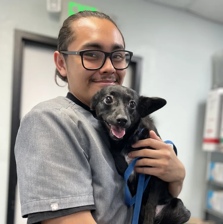 Luke C. — Veterinary Assistant