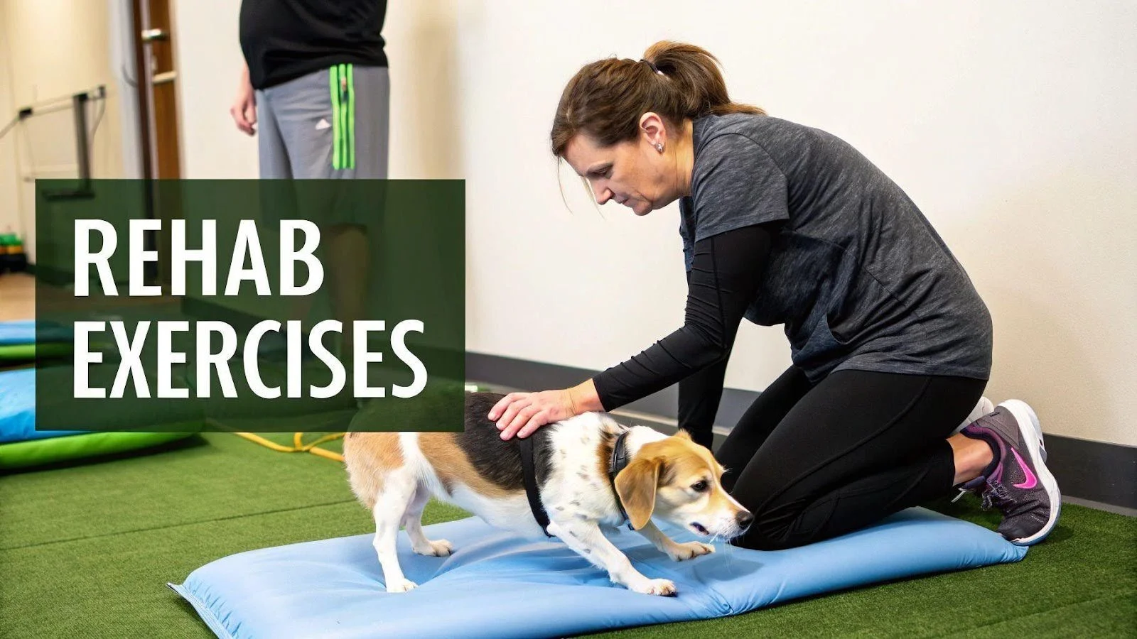 Dog TPLO Surgery Recovery Tips for Fast Healing | Fundraising For Pet ...