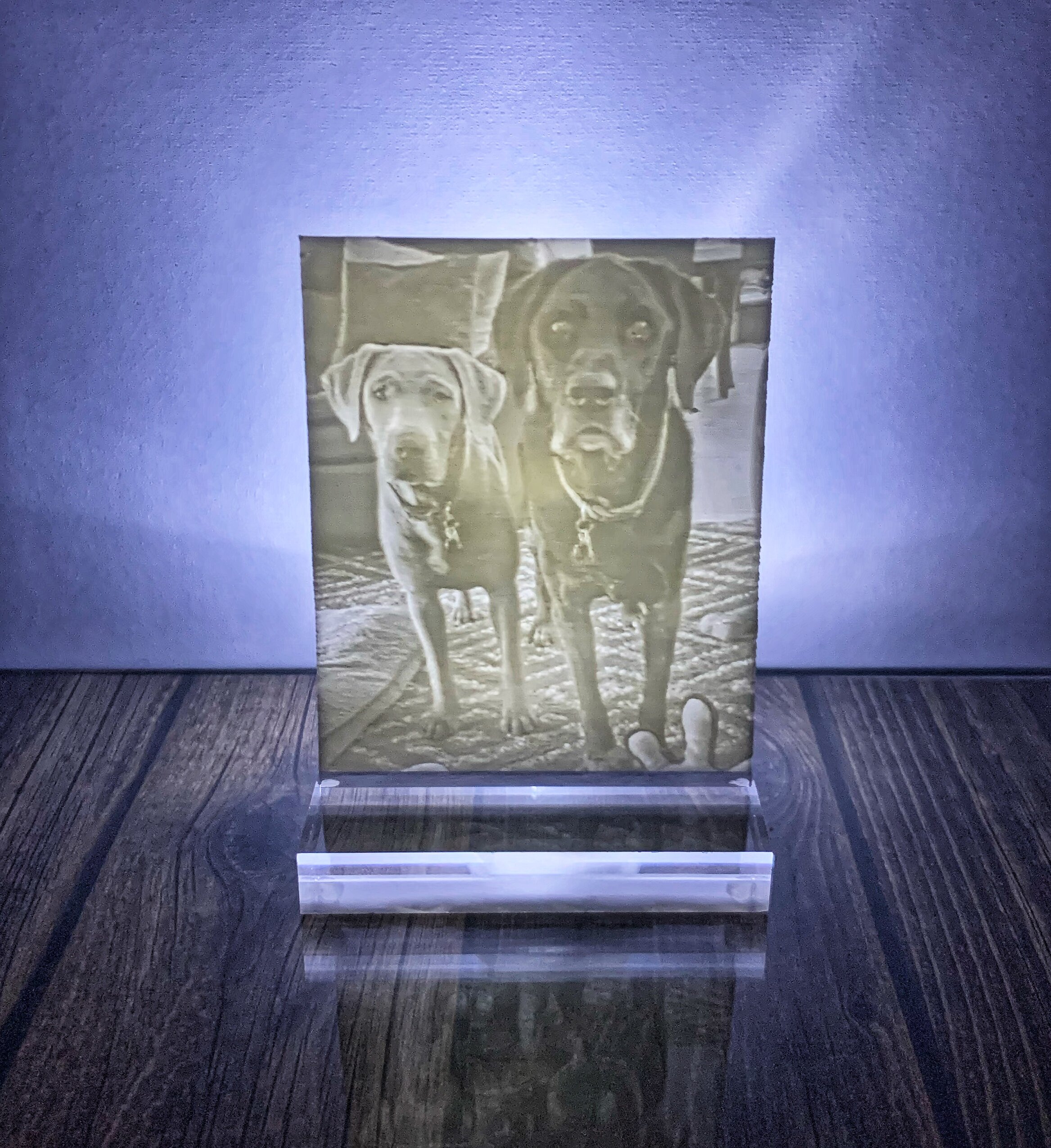 3D Print Dogs 1.jpg