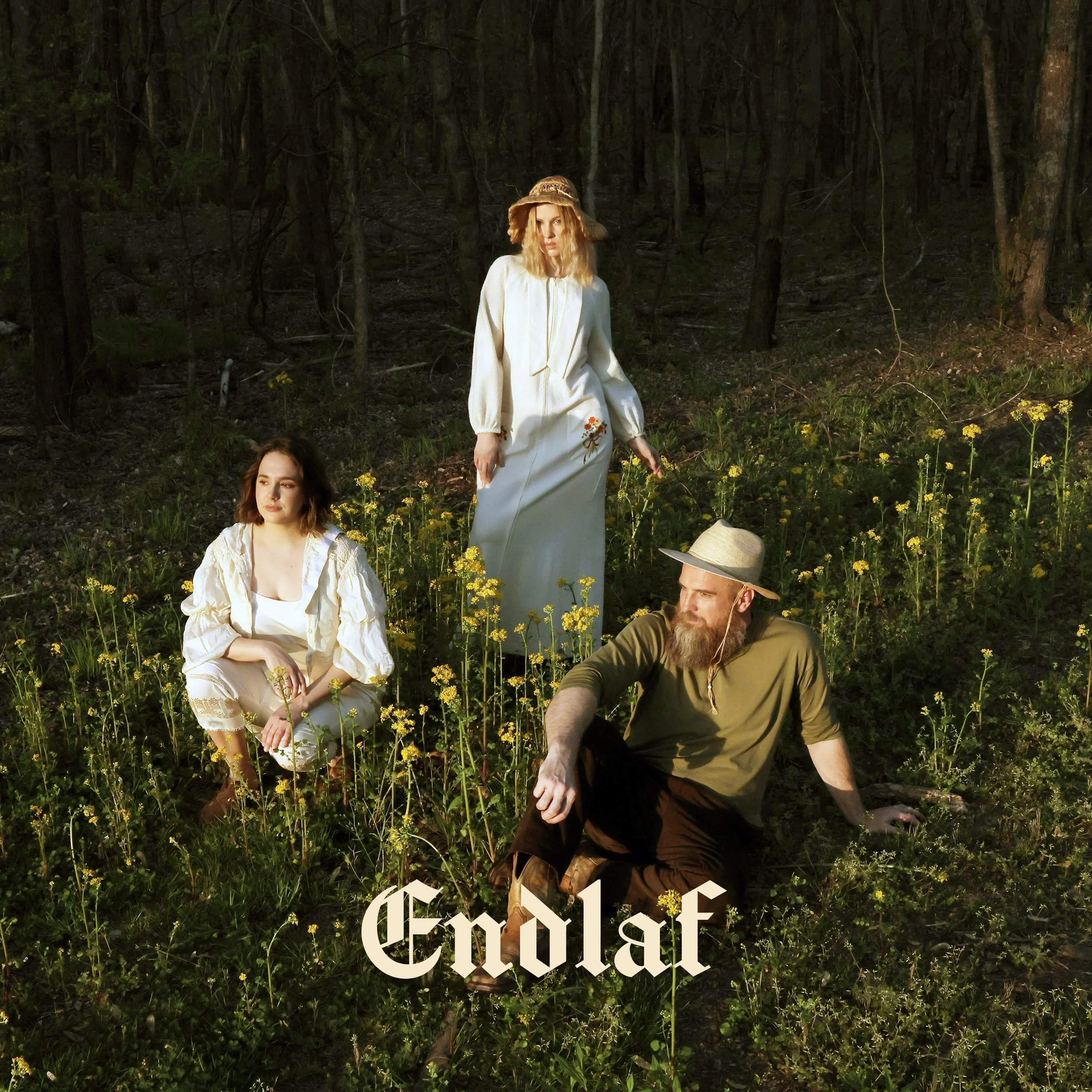 ENDLAF ALBUM 1 COVER FINAL.JPG