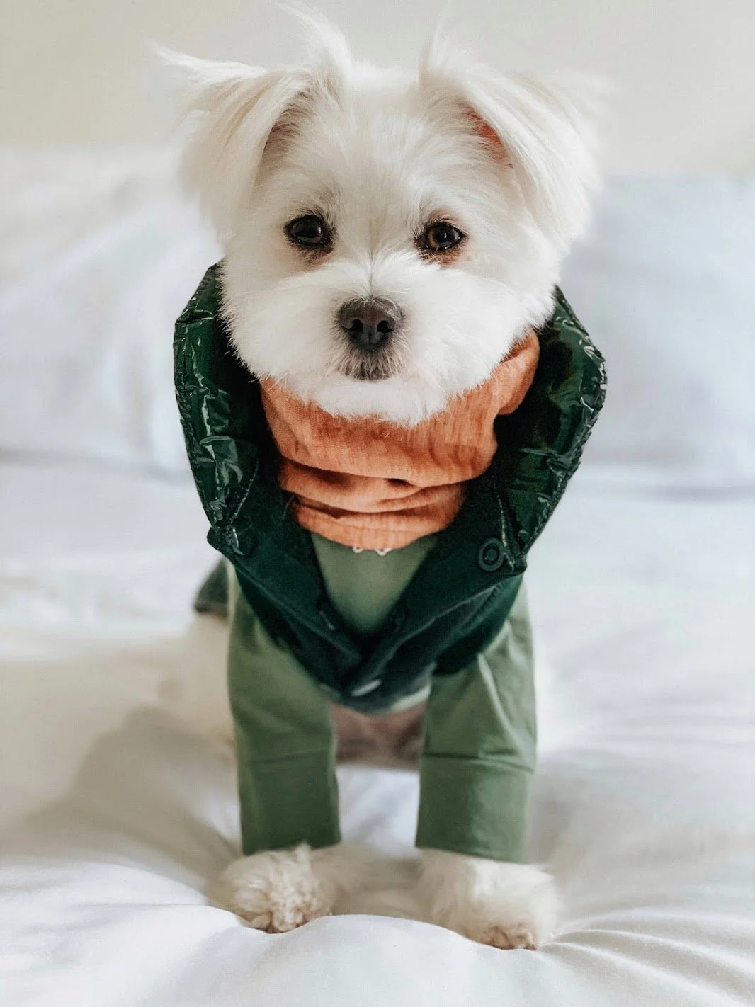 Fashion Changes with the Seasons