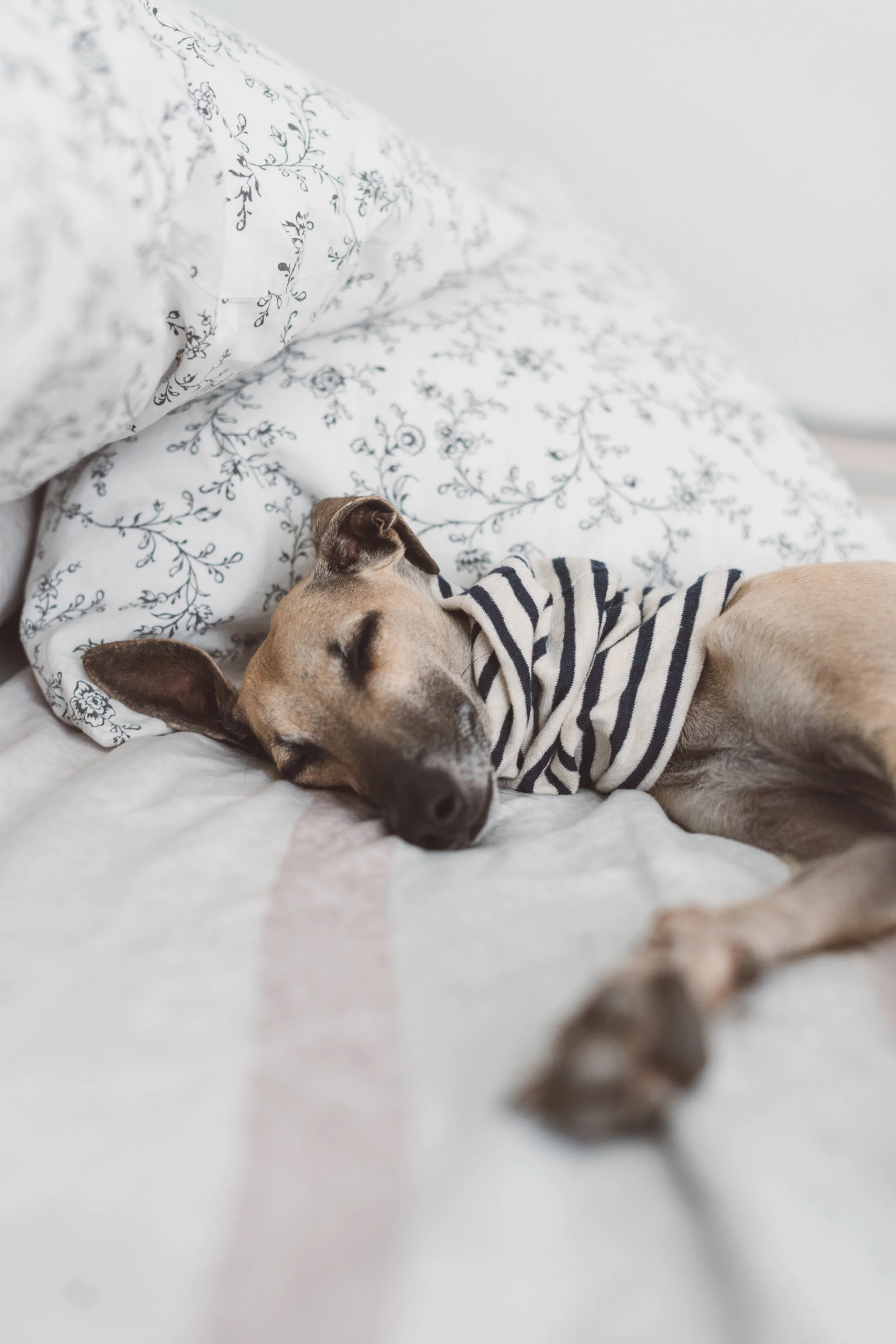 Winter Blues? We can fix that!&nbsp;