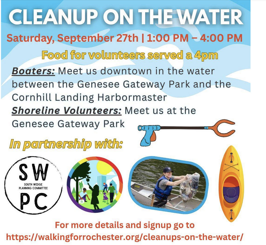 Cleanup on the Water with Walking for Rochester