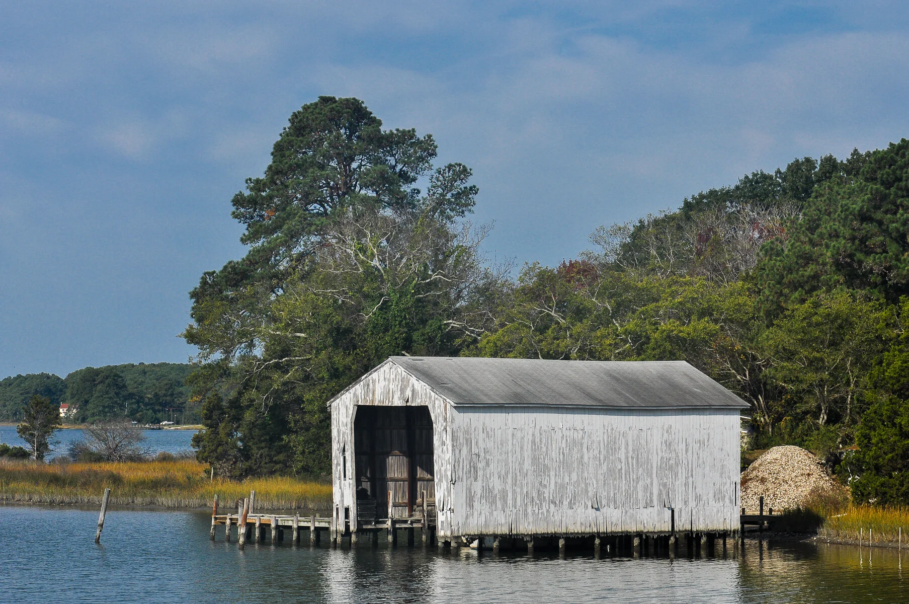 VAEasternShore.8 -1.jpg