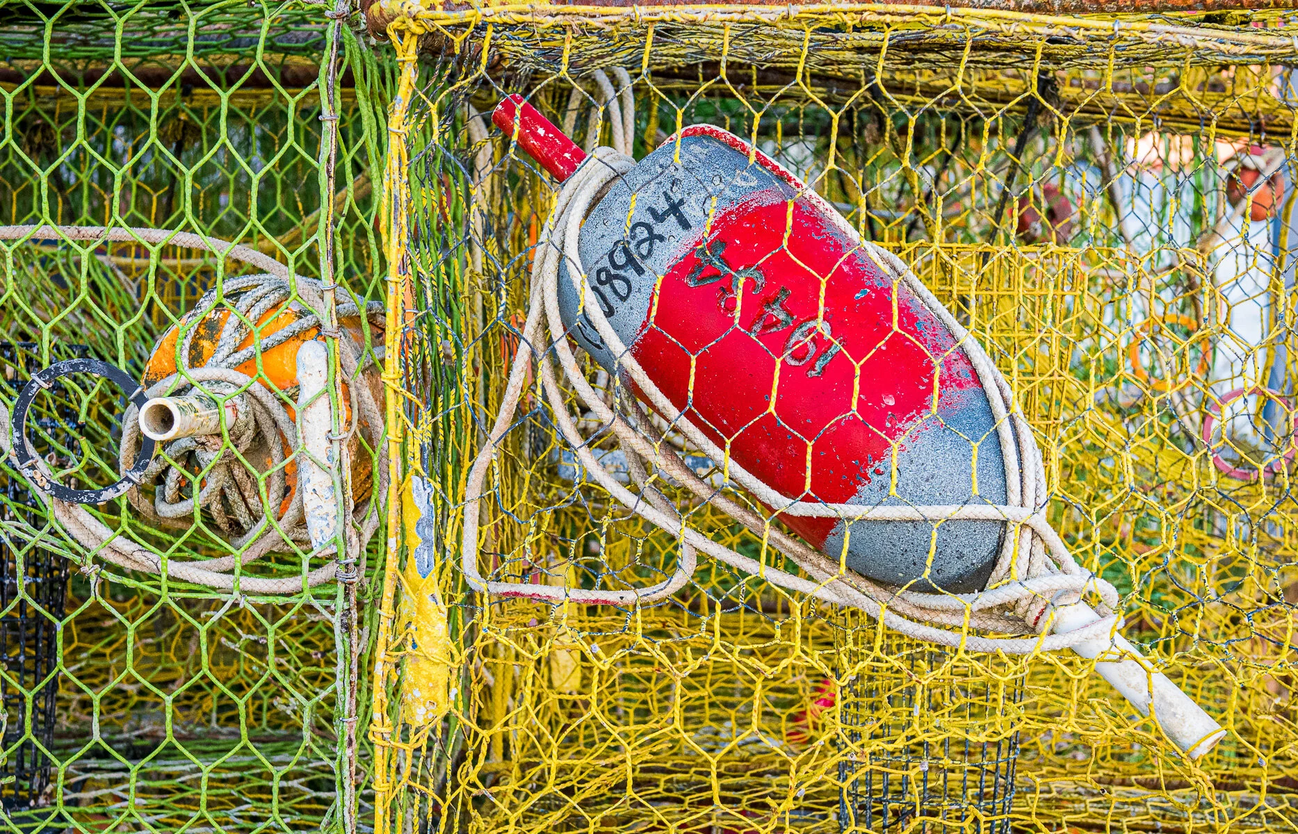 VAEasternShore.17 -1.jpg