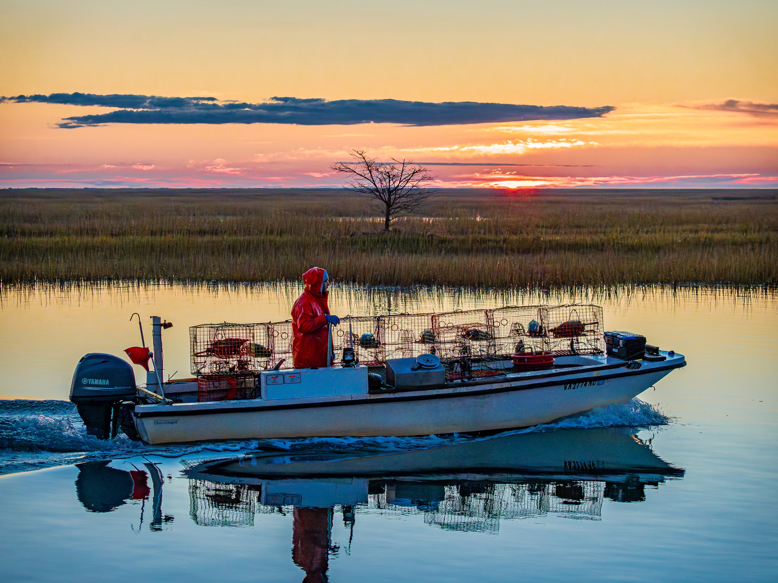 EasternShoreMD boattraps.2 -1.jpg