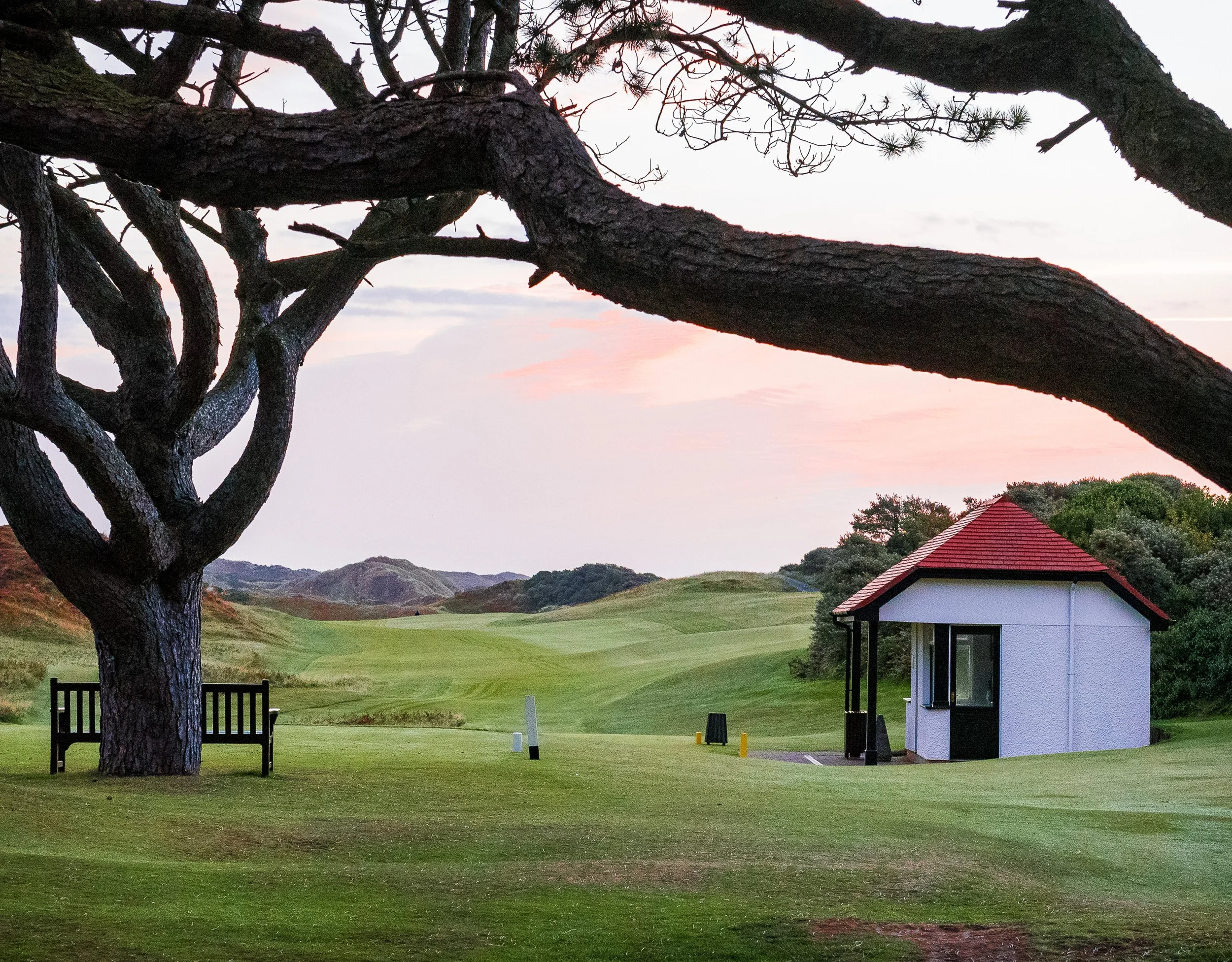 IrelandRCDTeeBox.1 -1.jpg