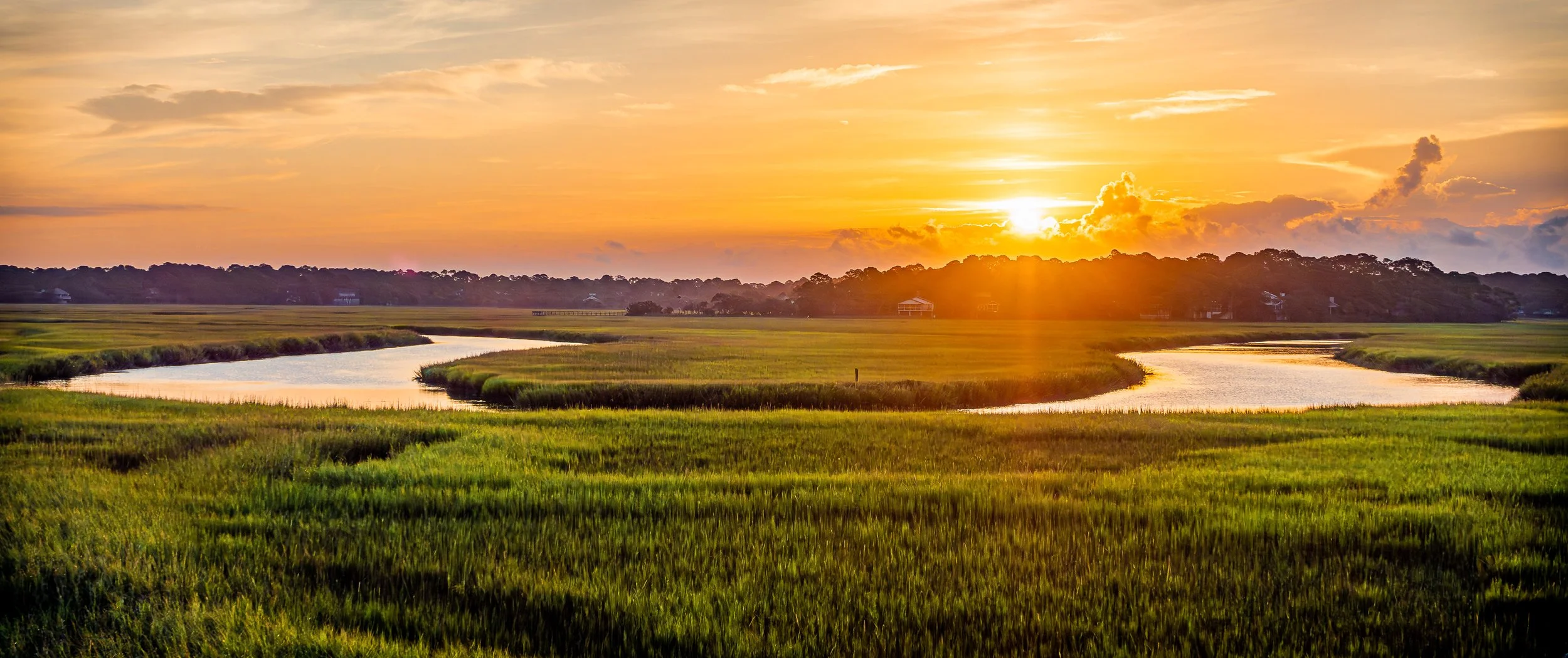 FrippIslandMarsh.1 -1.jpg