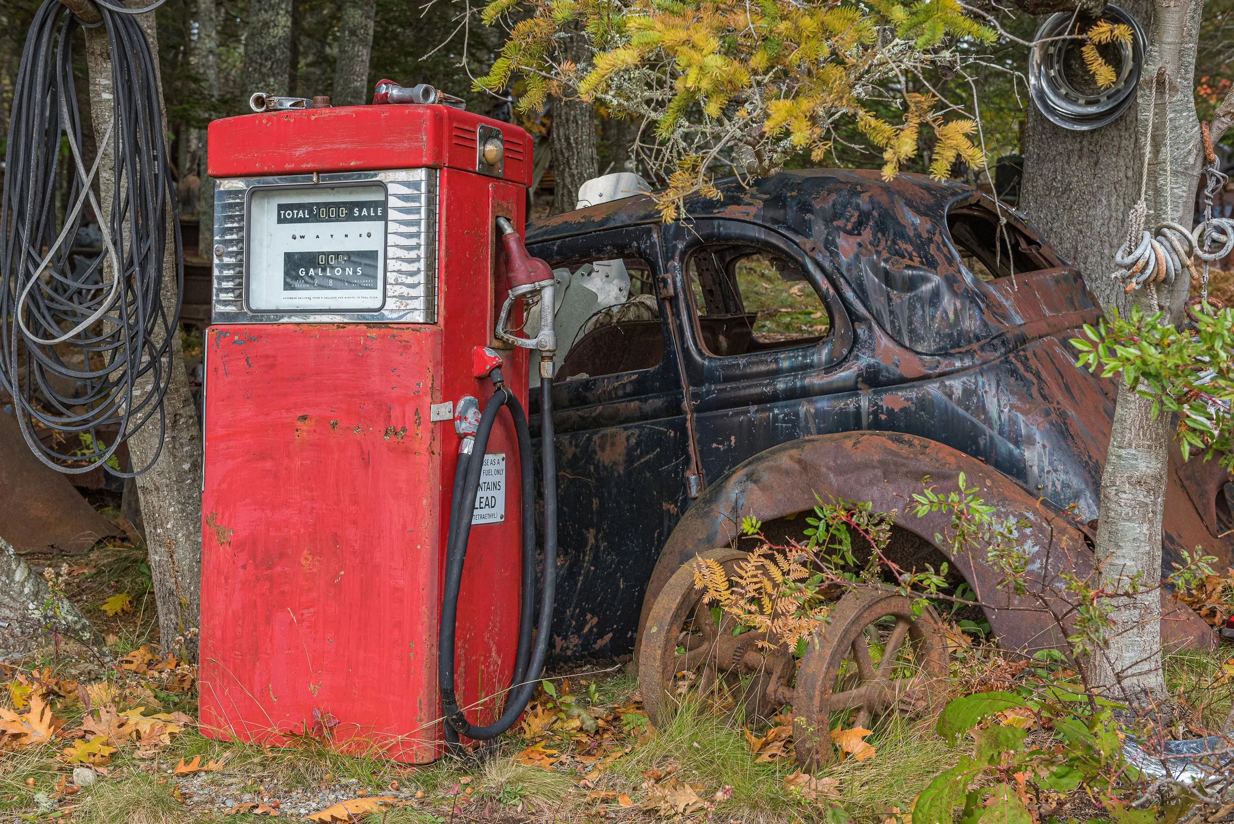 JunkyardMaine.1 -1.jpg