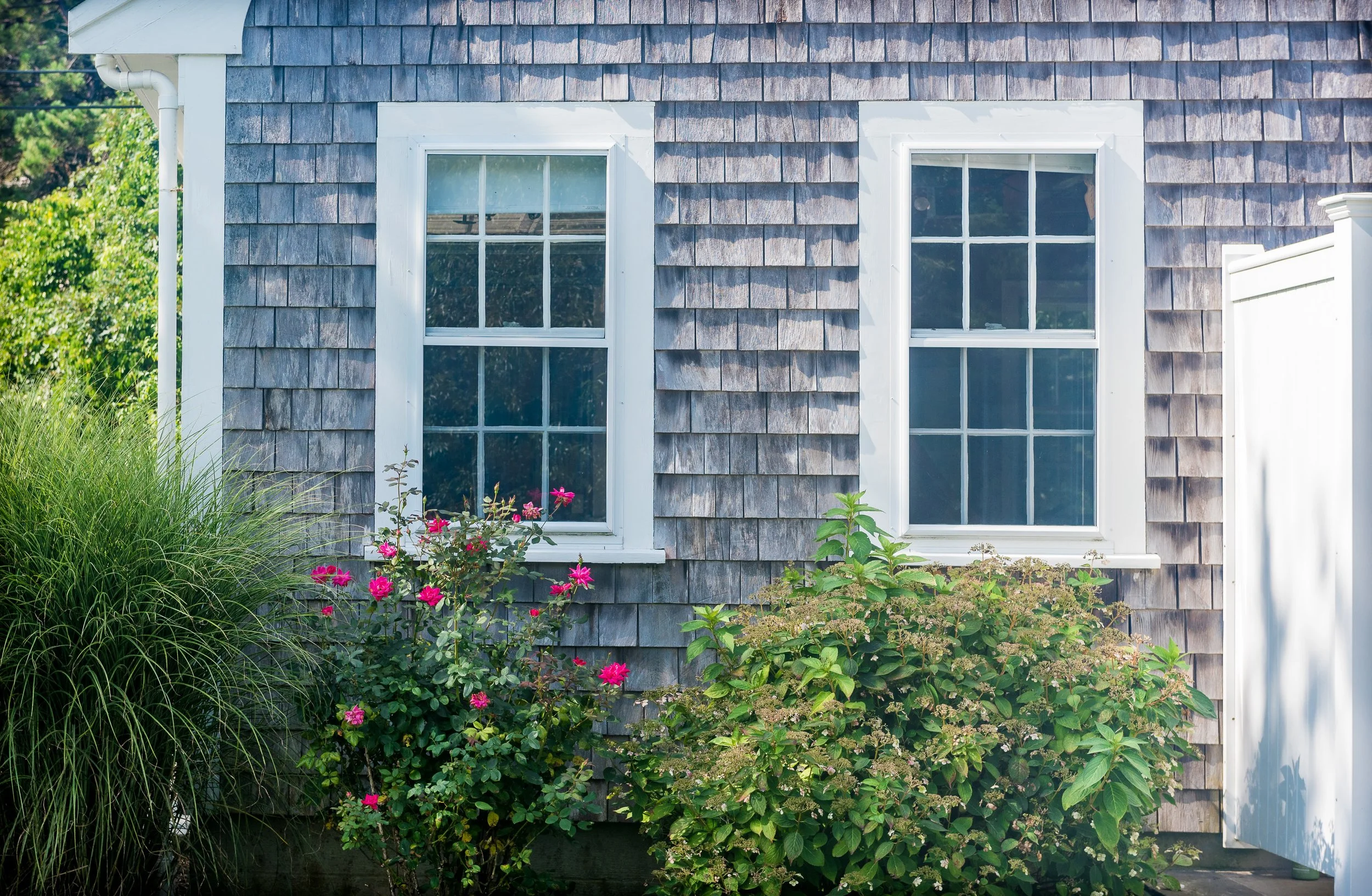 HouseFlowers.1 -1.jpg