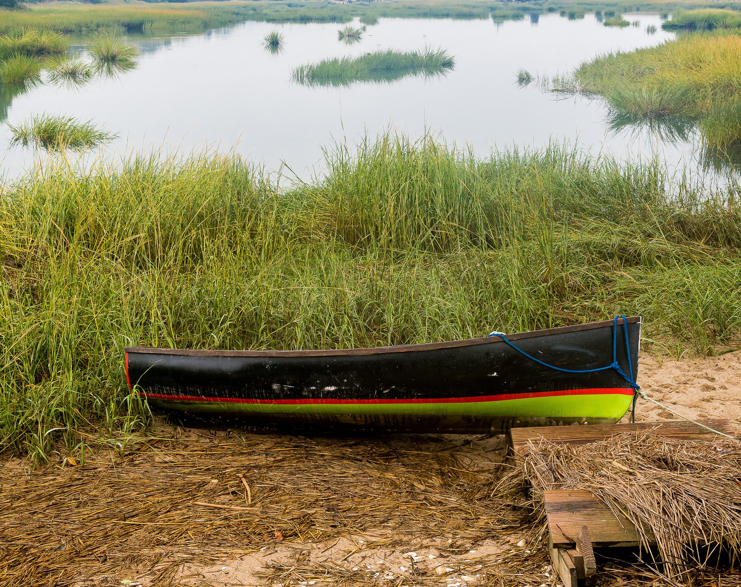 SkiffMarsh.1 -1.jpg