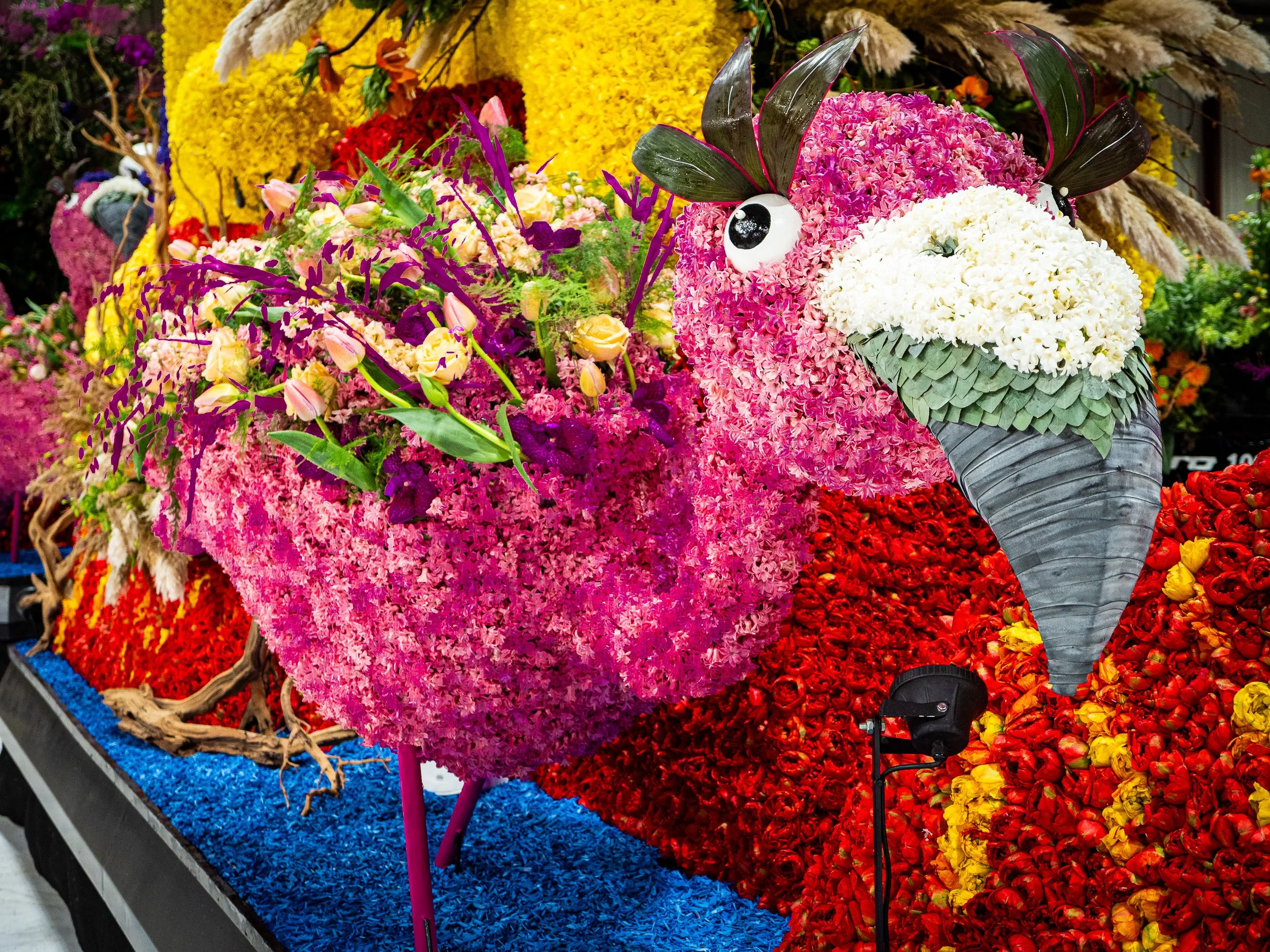 FlowersFloat.2 -1.jpg