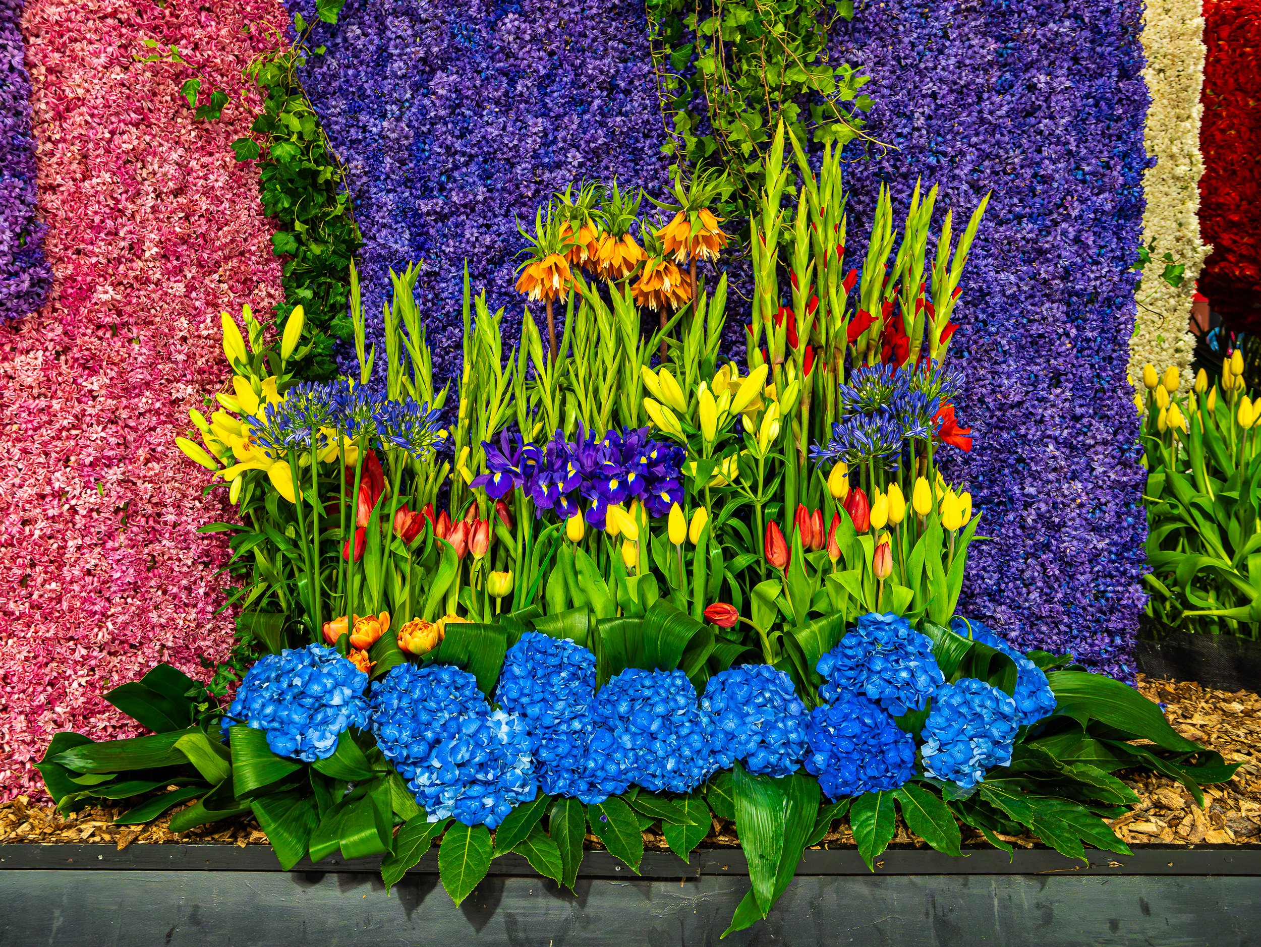 FlowersFloat.1 -1.jpg