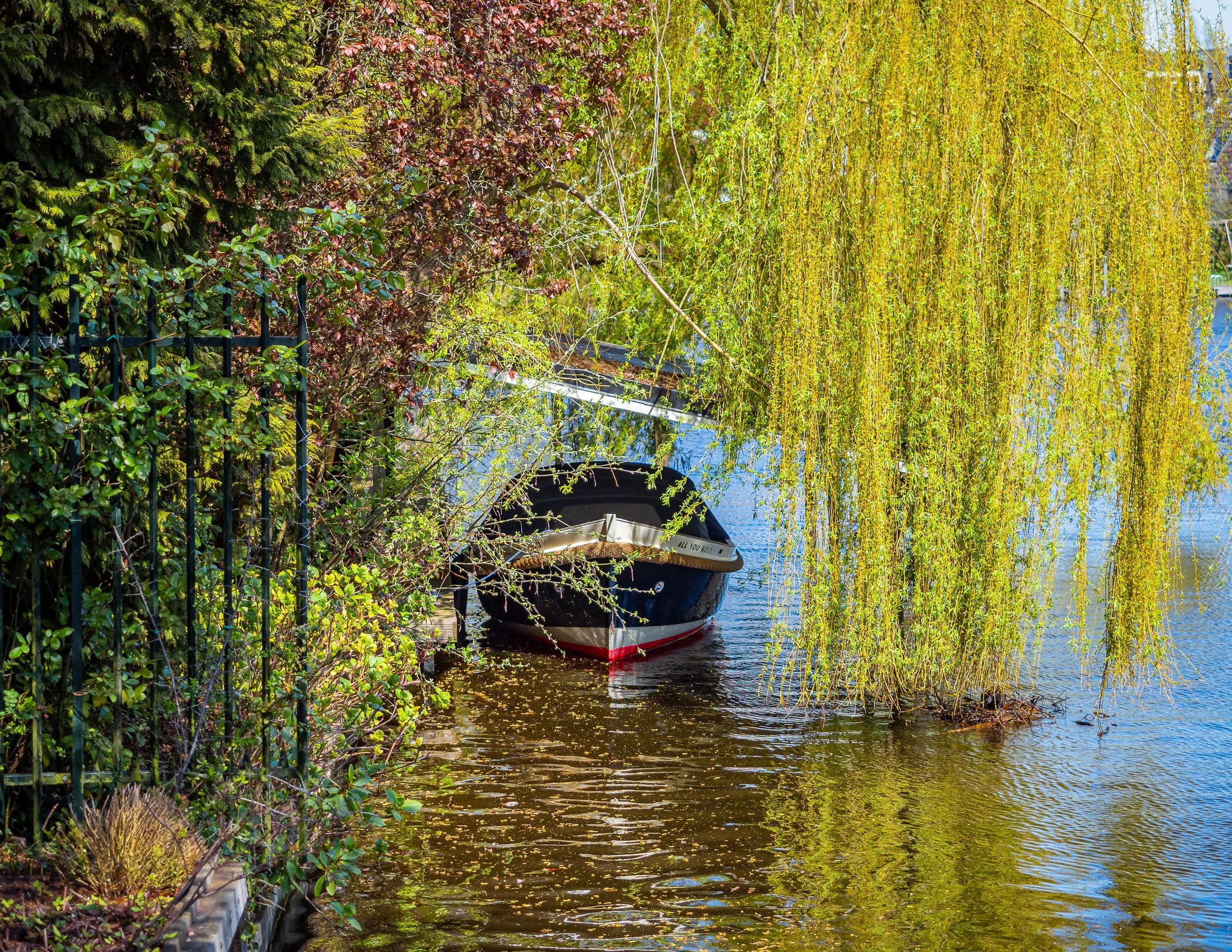 SkiffWillow.1 -1.jpg