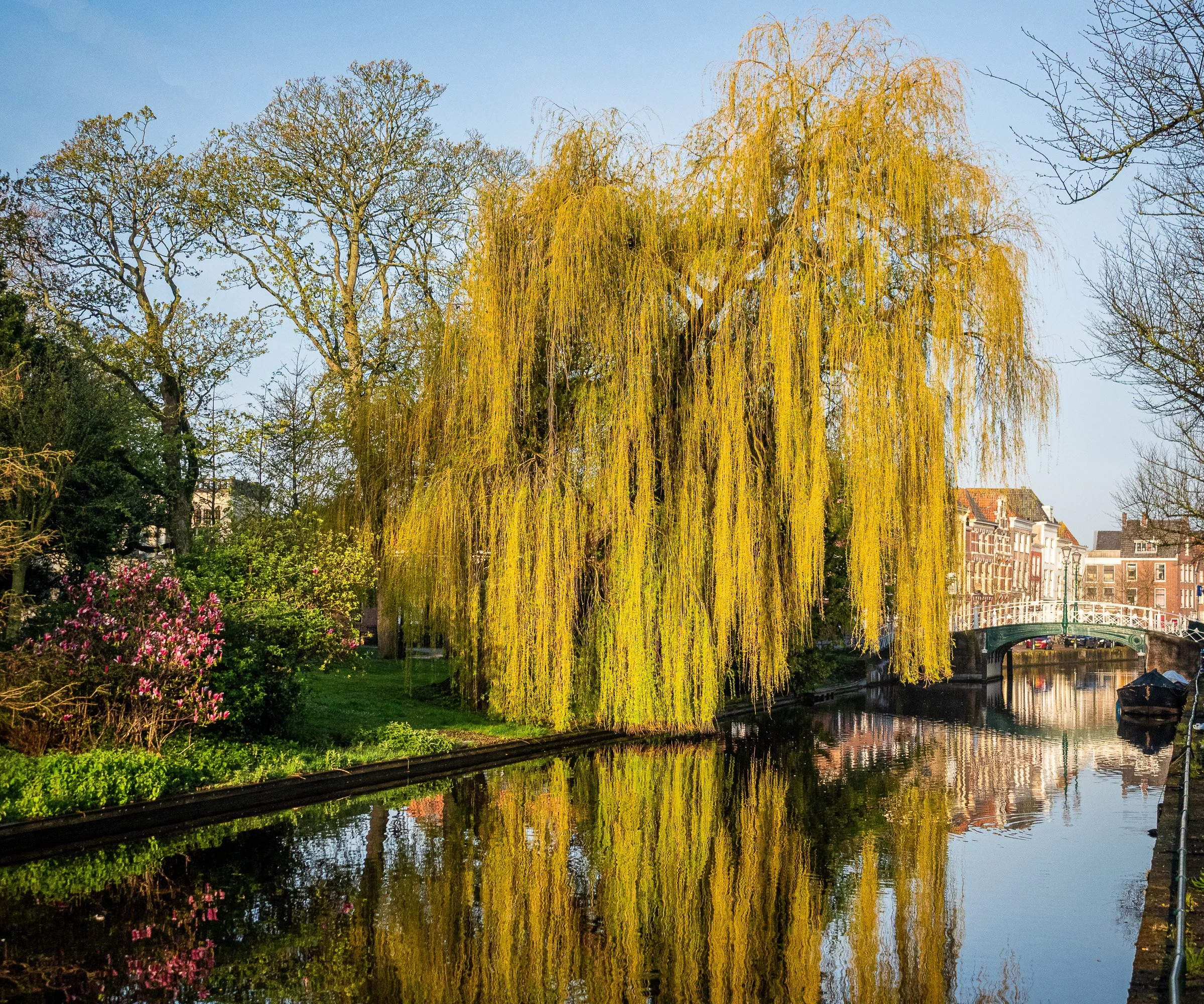 WillowCanal.1 -1.jpg