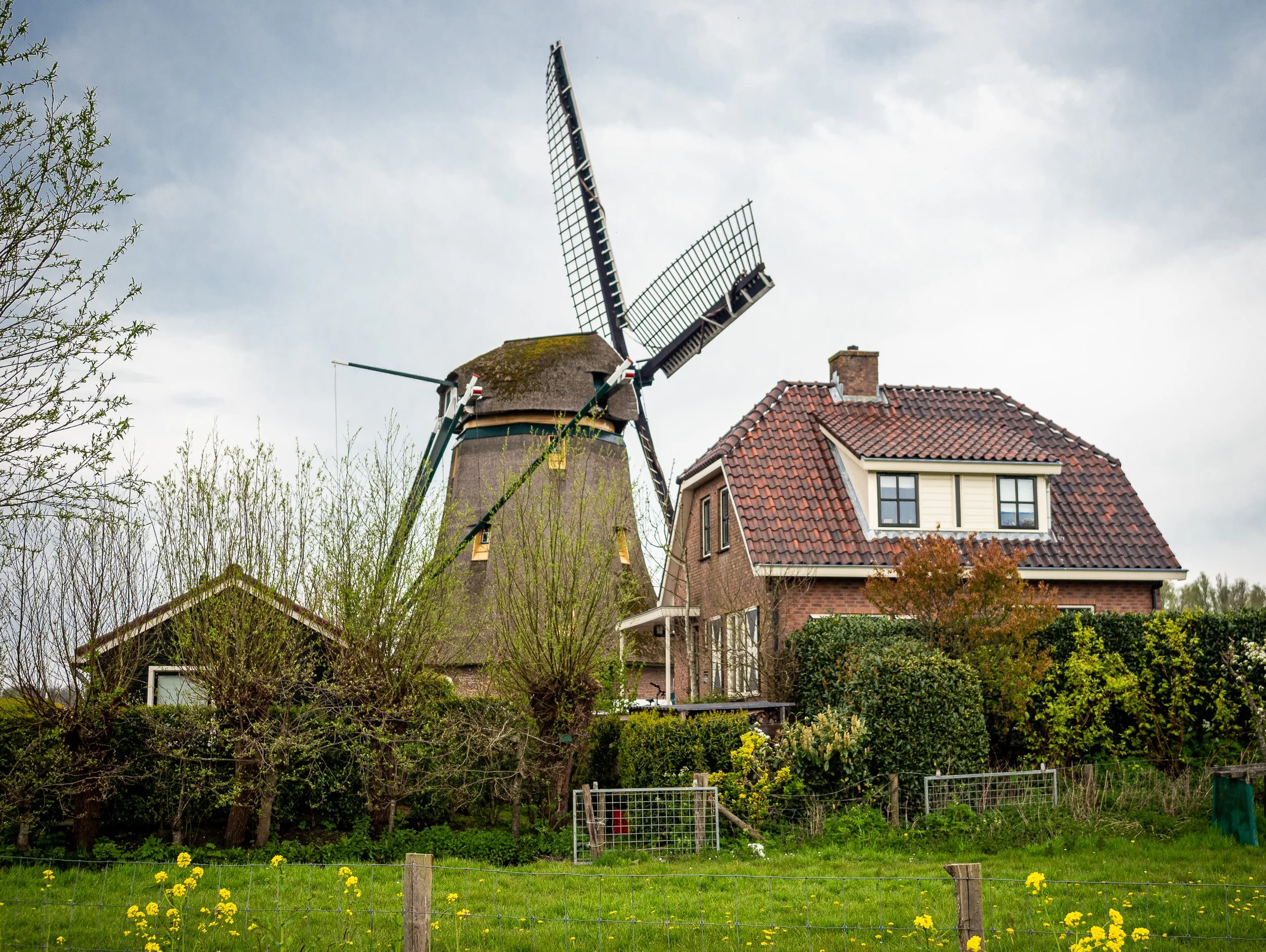 WindmillHouse.1 -1.jpg