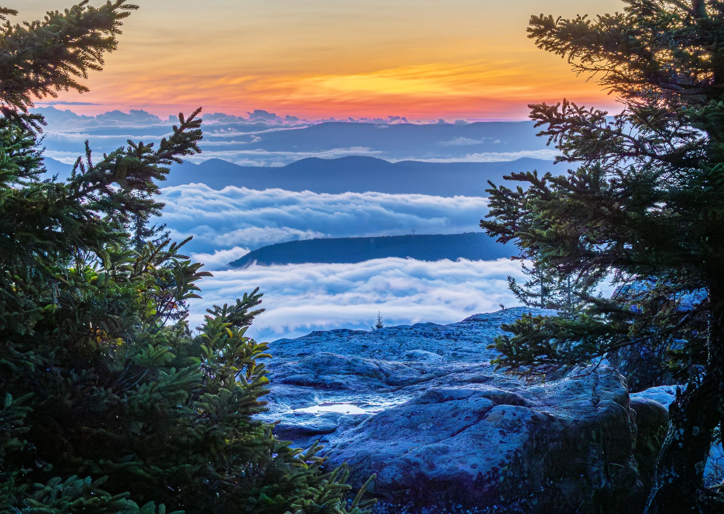 Bear Rocks Dawn.1 -1.jpg