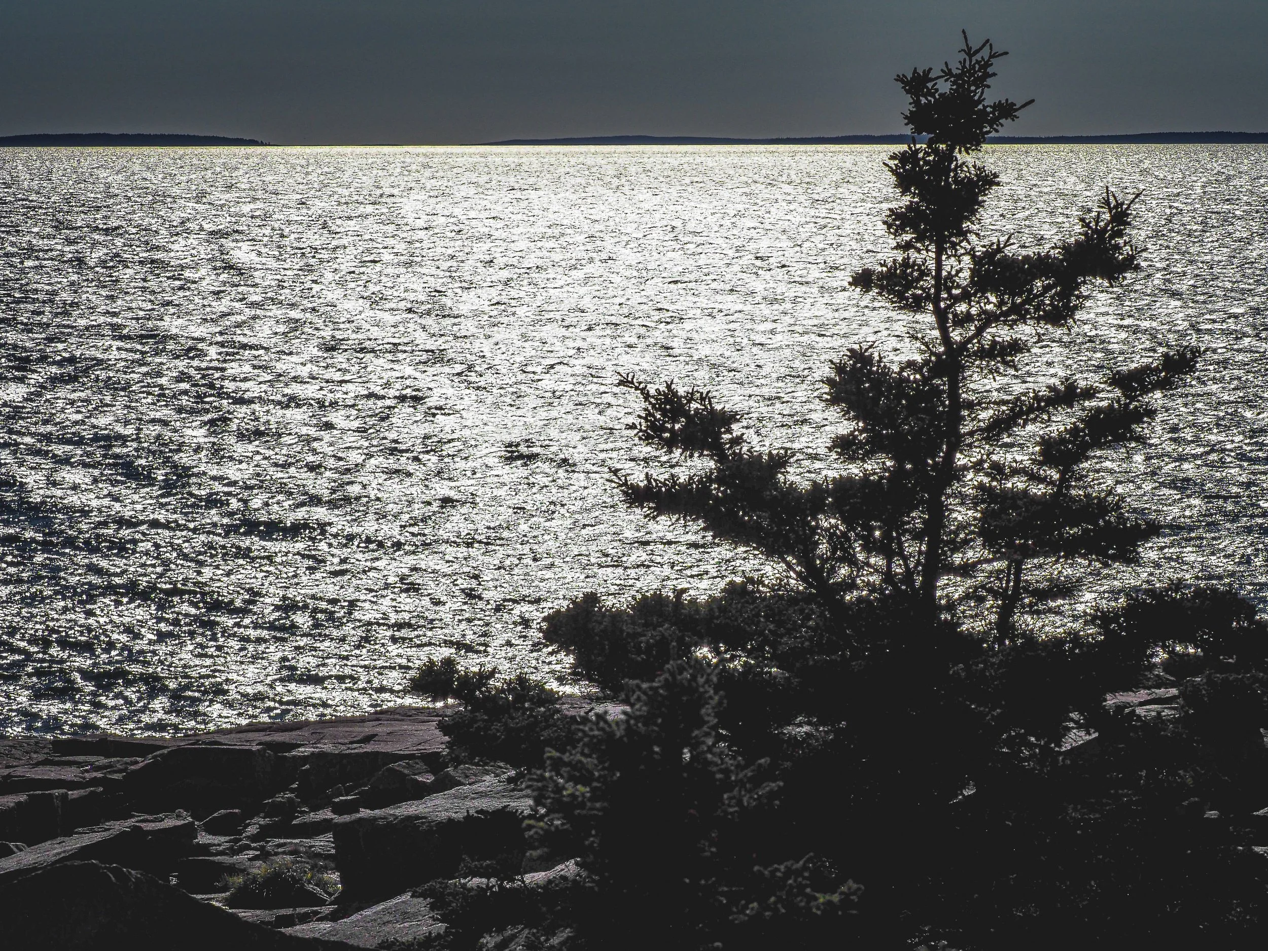 6Schoodic -1.jpg