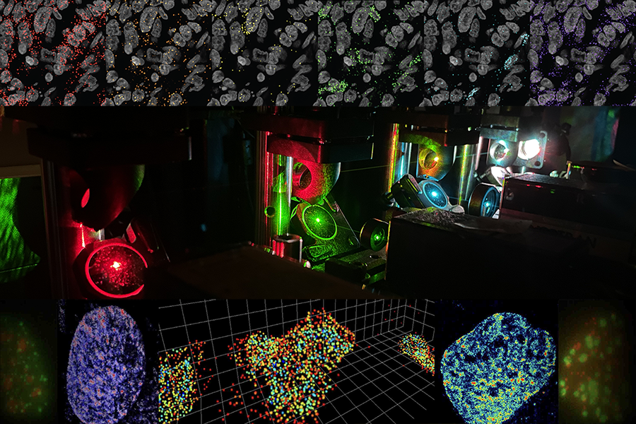 Lab Members  Computational Functional Genomics Laboratory