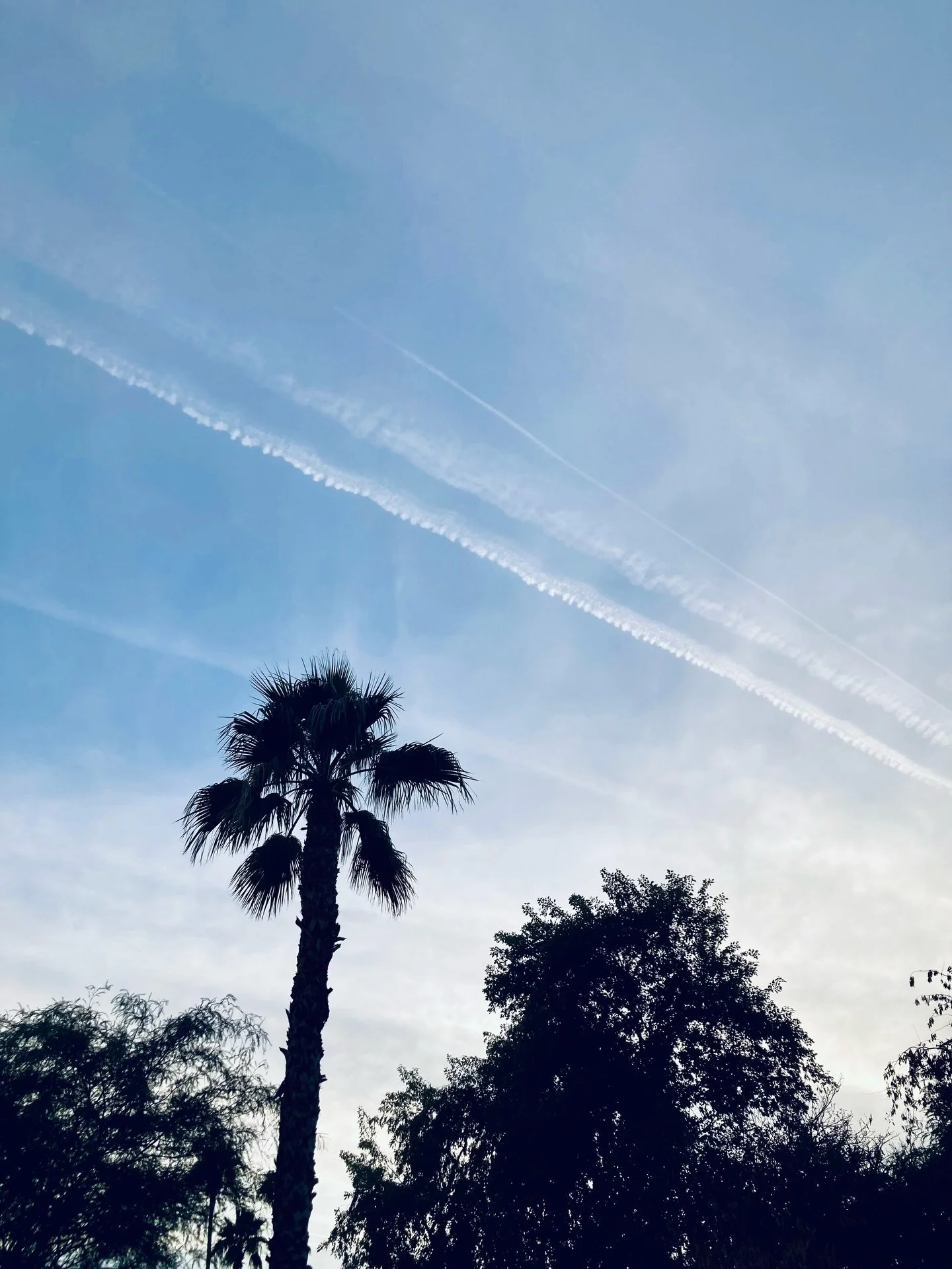 Why do they spray us with poison ☠️ everyday like bugs?  And why do most people never even notice it?