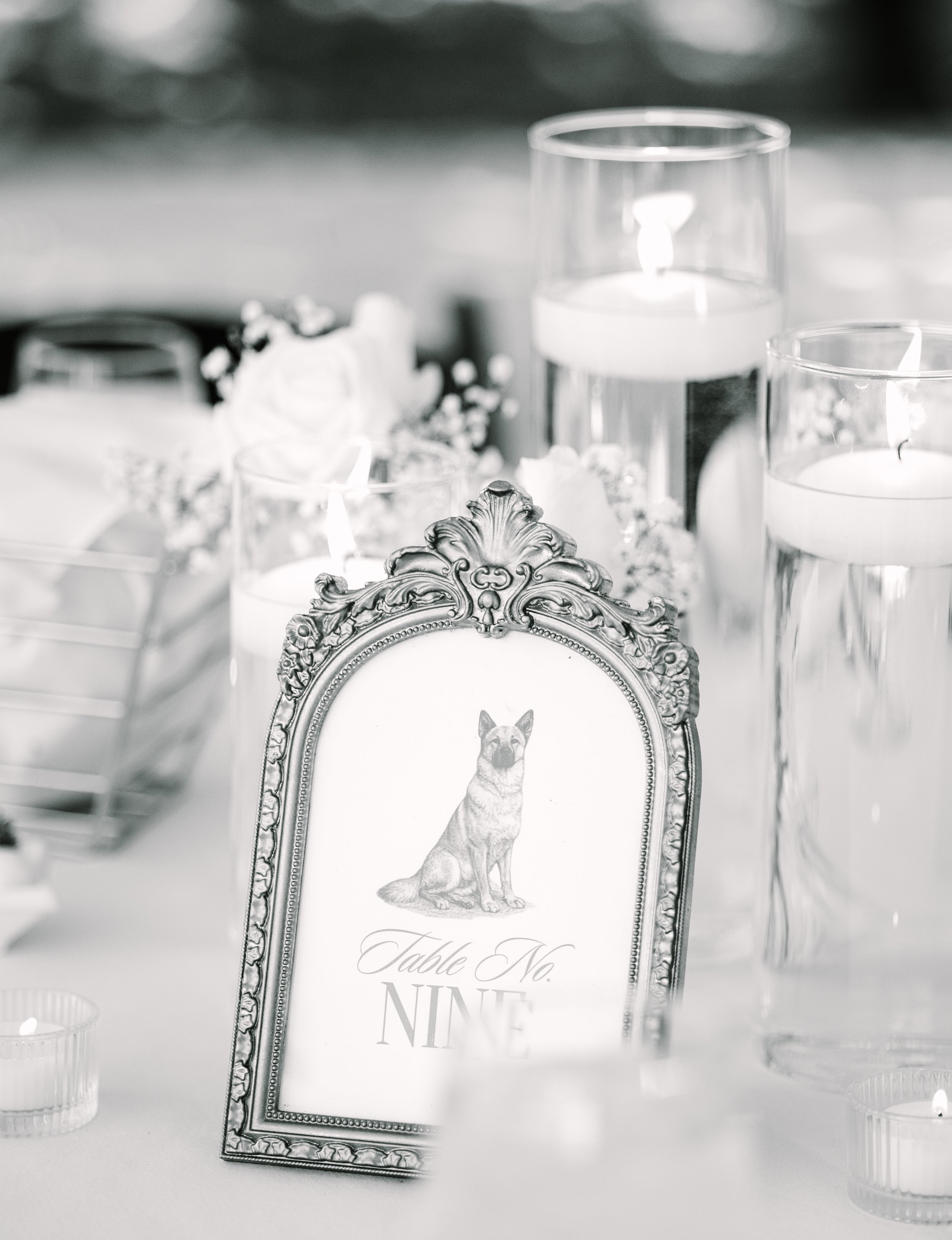 Anya_Yaqiwangphotography_04_1-6610.JPG