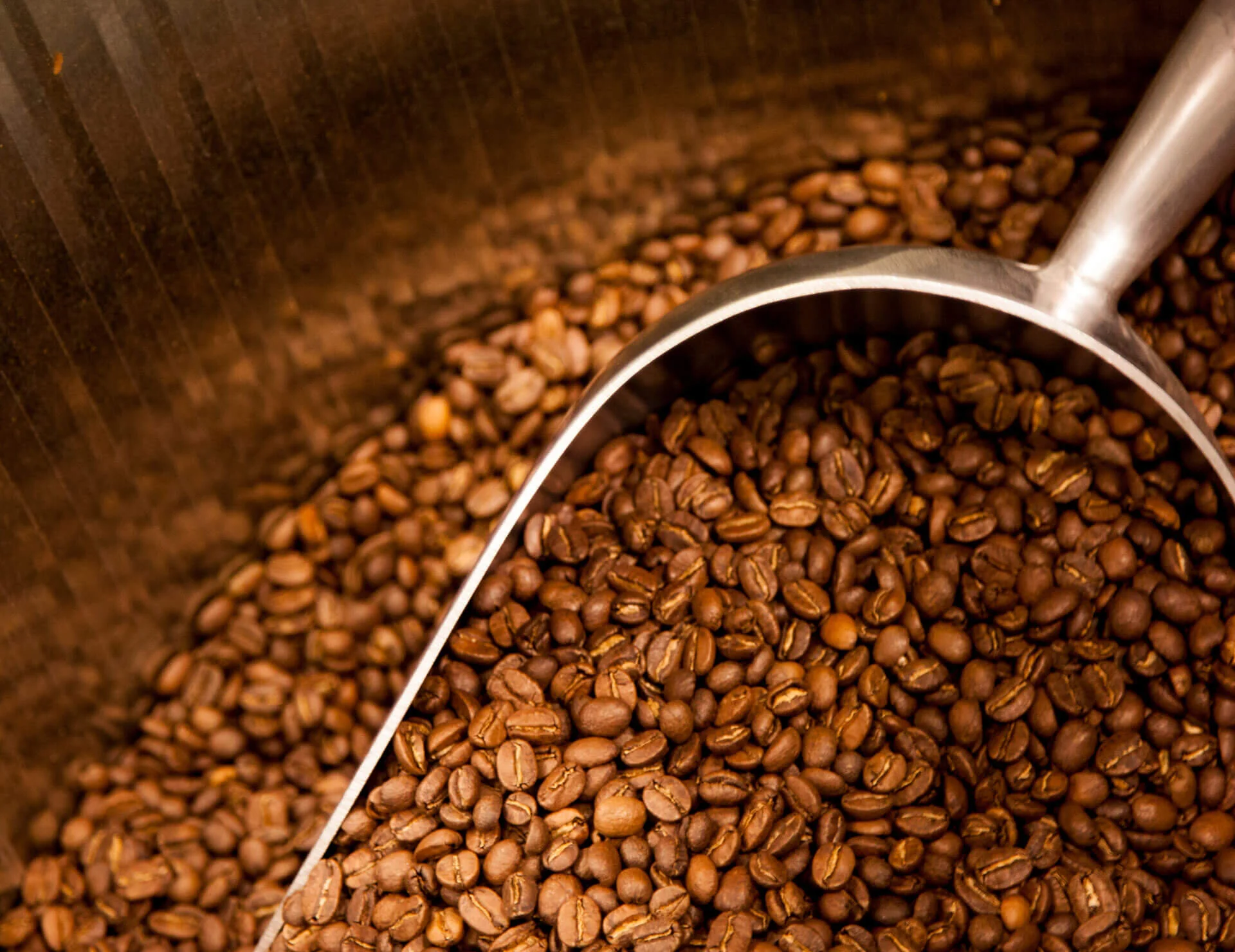 Bookings — Bittersweet Café