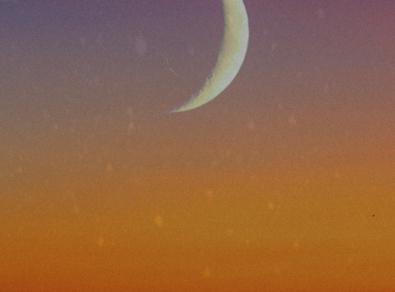 Luna Nueva en Sagitario 28°: Cuando crecer exige coherencia