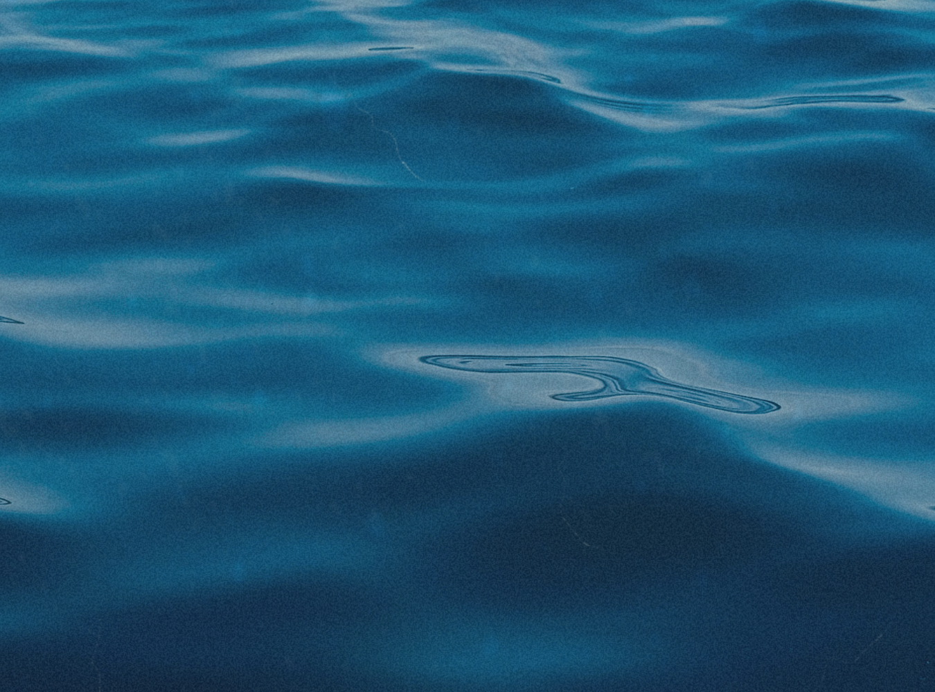 Mercurio retrógrado en Piscis 22°: Del ruido mental a la verdad emocional