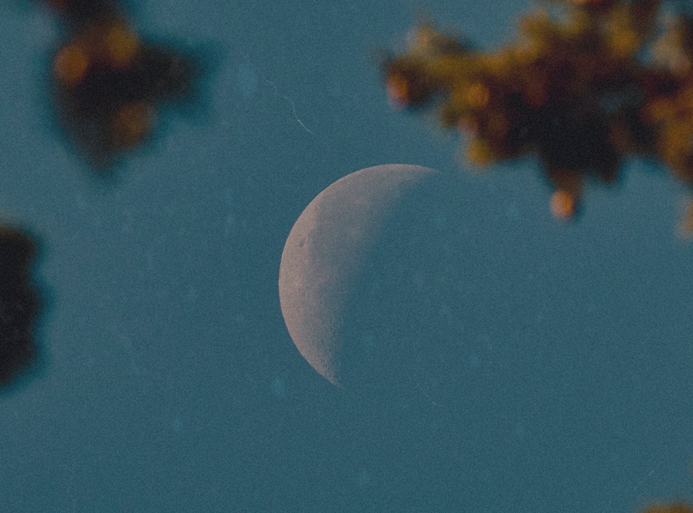 Luna Nueva en Tauro 25°: Lo que sí merece crecer contigo