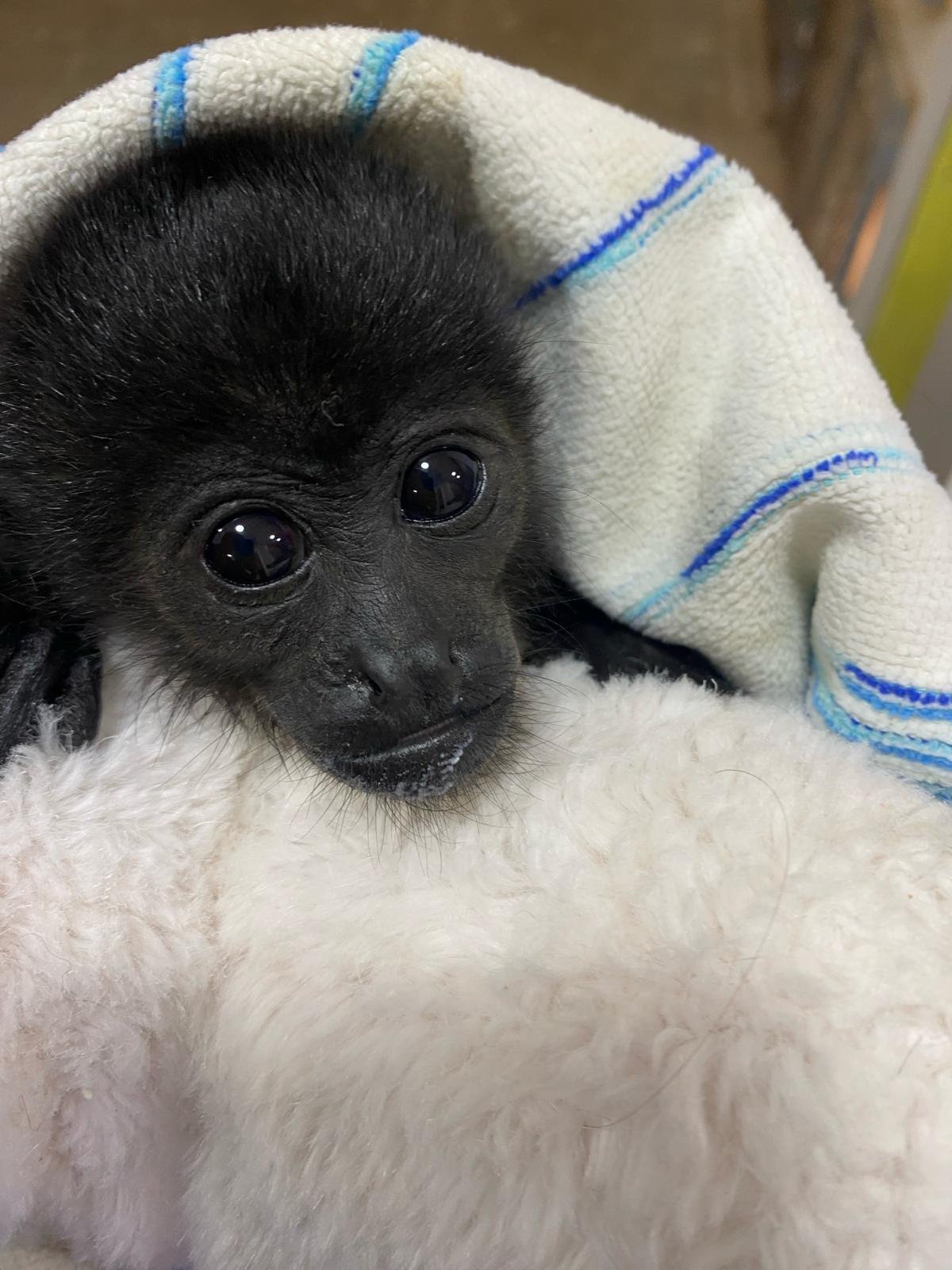 WhatsApp Image 2025-10-28 at 00.53.06.jpeg