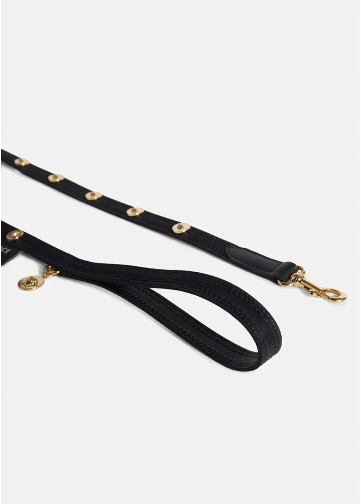 VERSACE HOME | Medusa Collar and Leash Set — Palazzo Collezioni