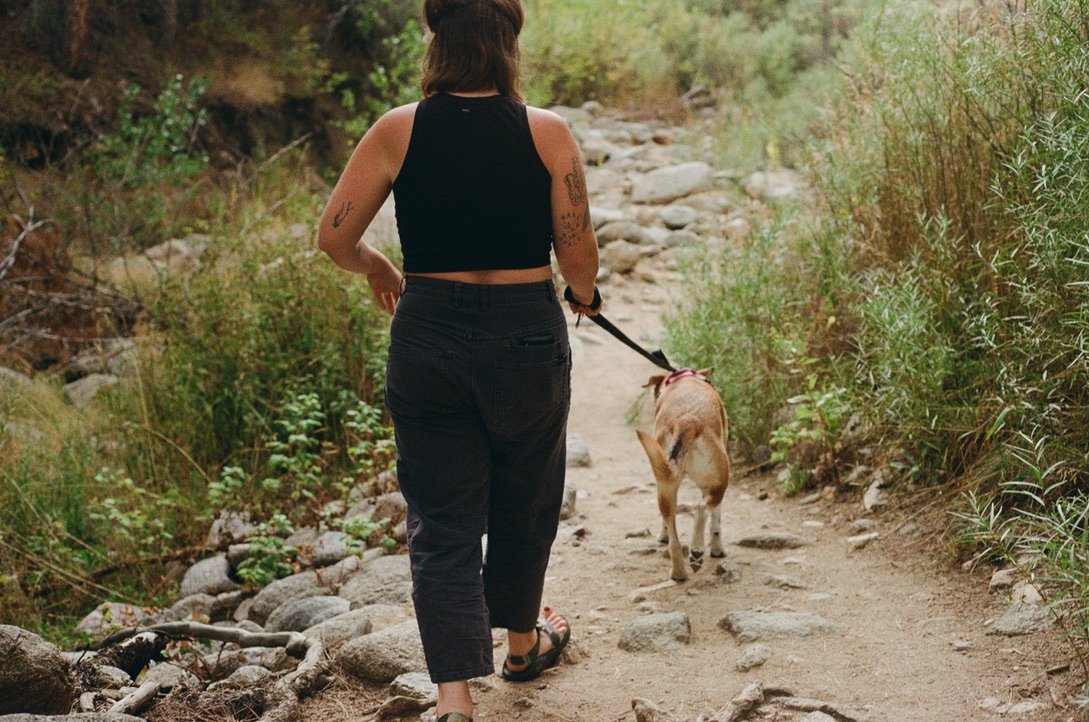 A woman walking a dog on a rocky dirt trail through green vegetation.