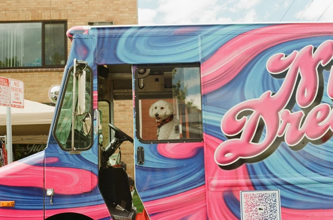 A dog sitting inside a colorful ice cream truck, looking out the window.