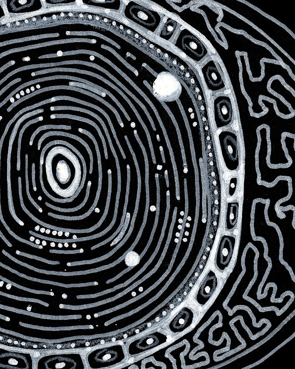 Alien_Cell_1_0001B_2.jpg