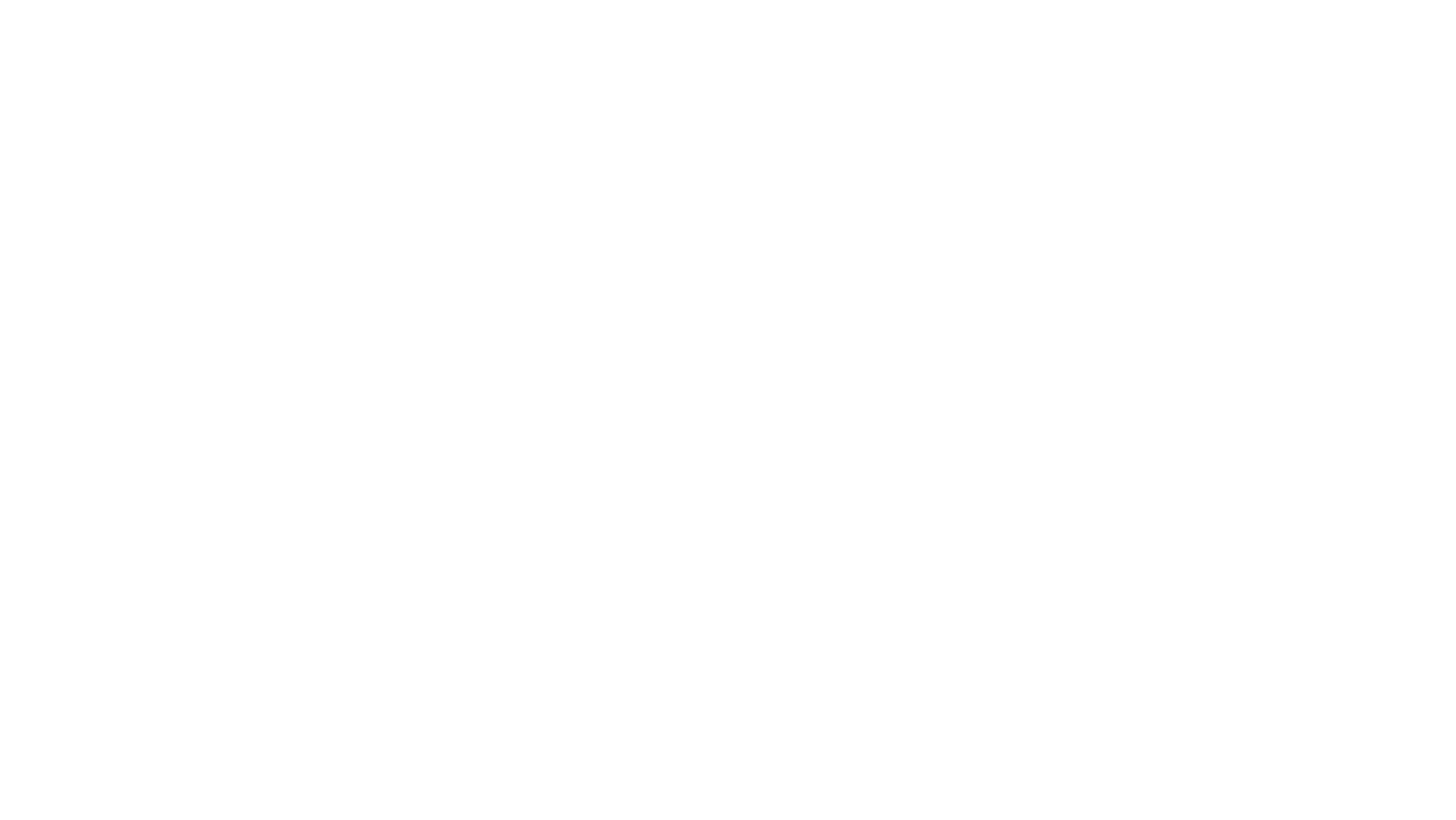 HP Foundation.png