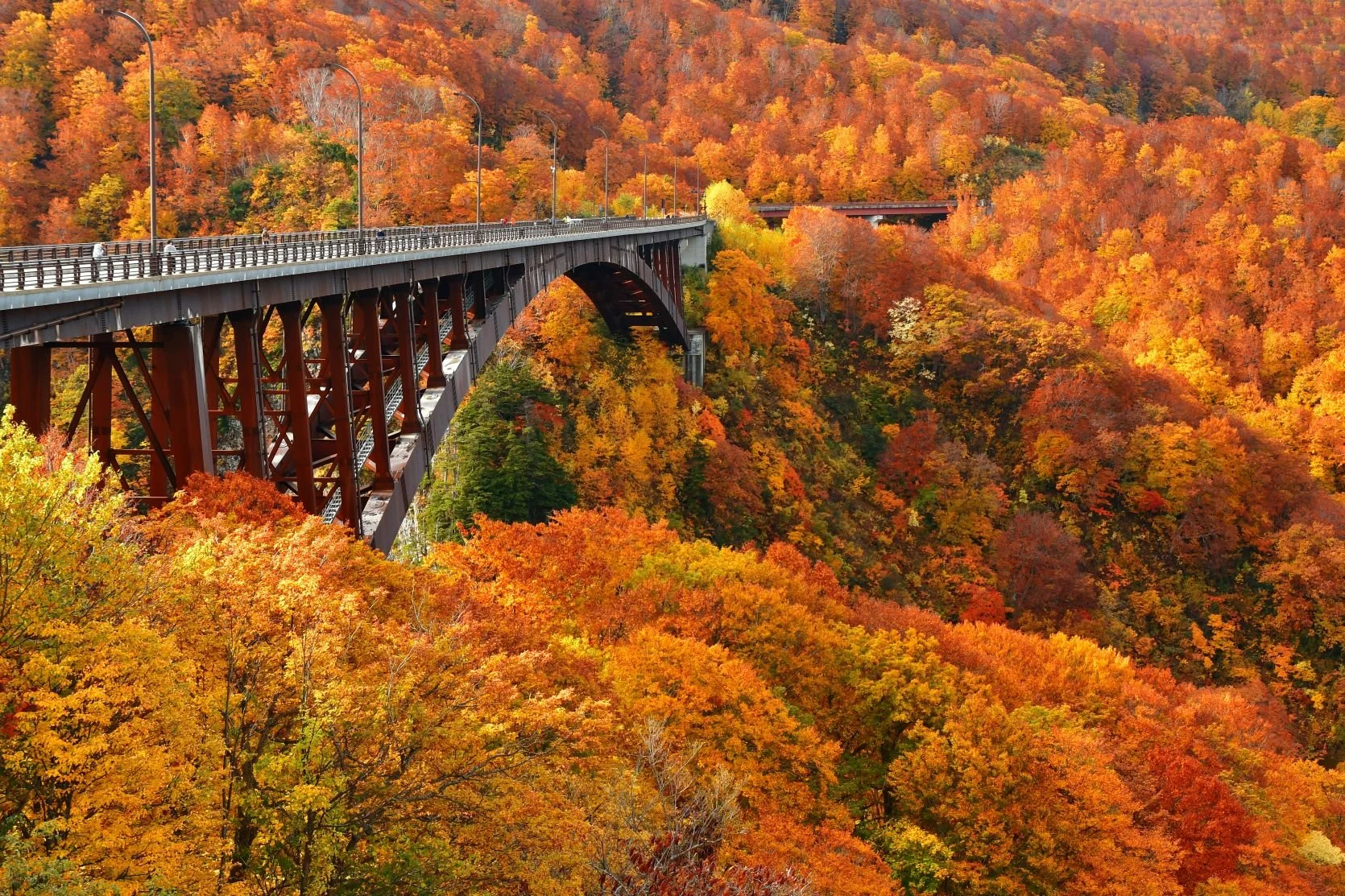 An unforgettable journey into the northern mountains and beyond: experience Nikko, Fukushima and Aomori in Autumn.