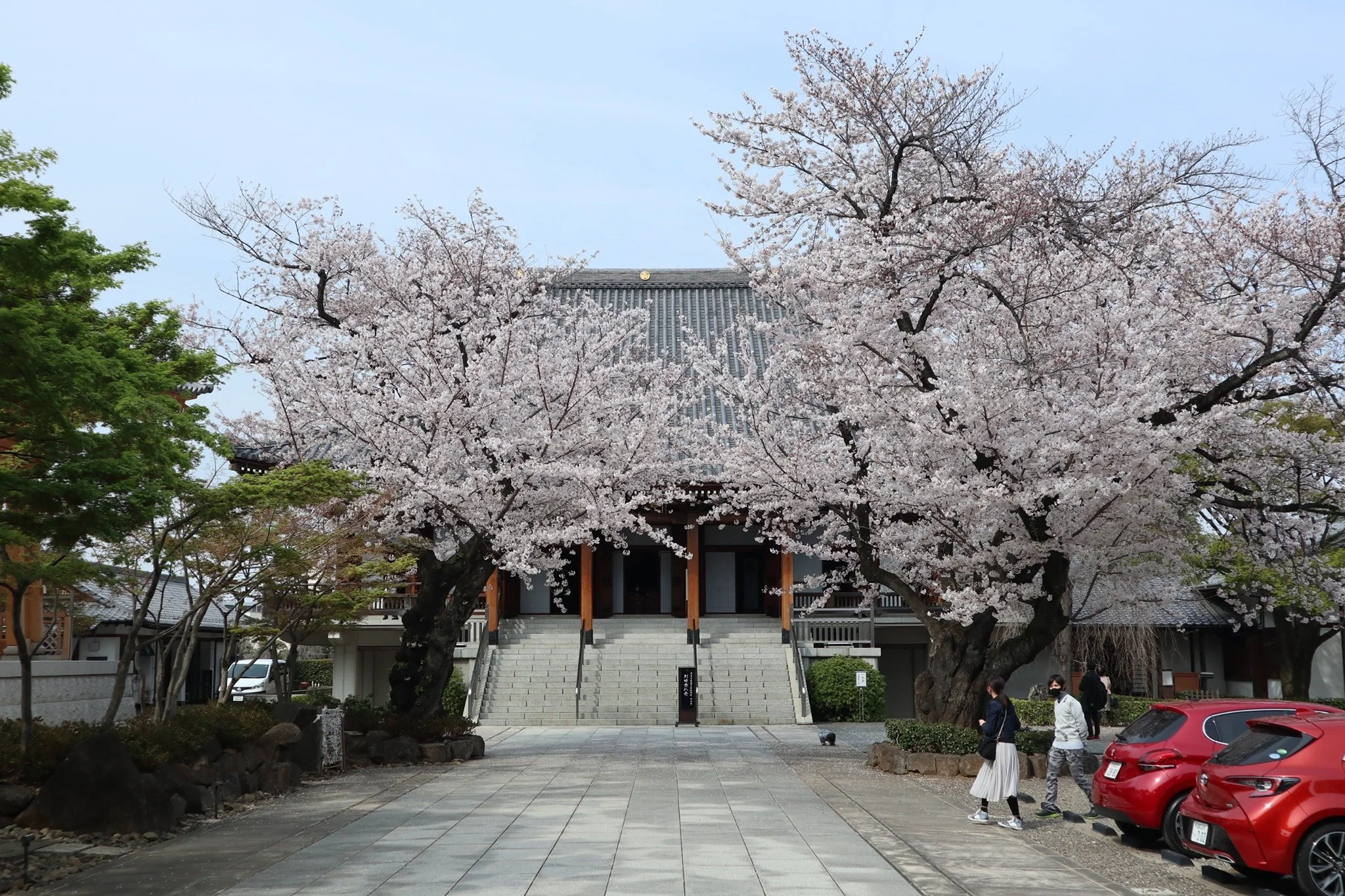 What to do in Japan in spring (a whistlestop itinerary for the discerning traveler)