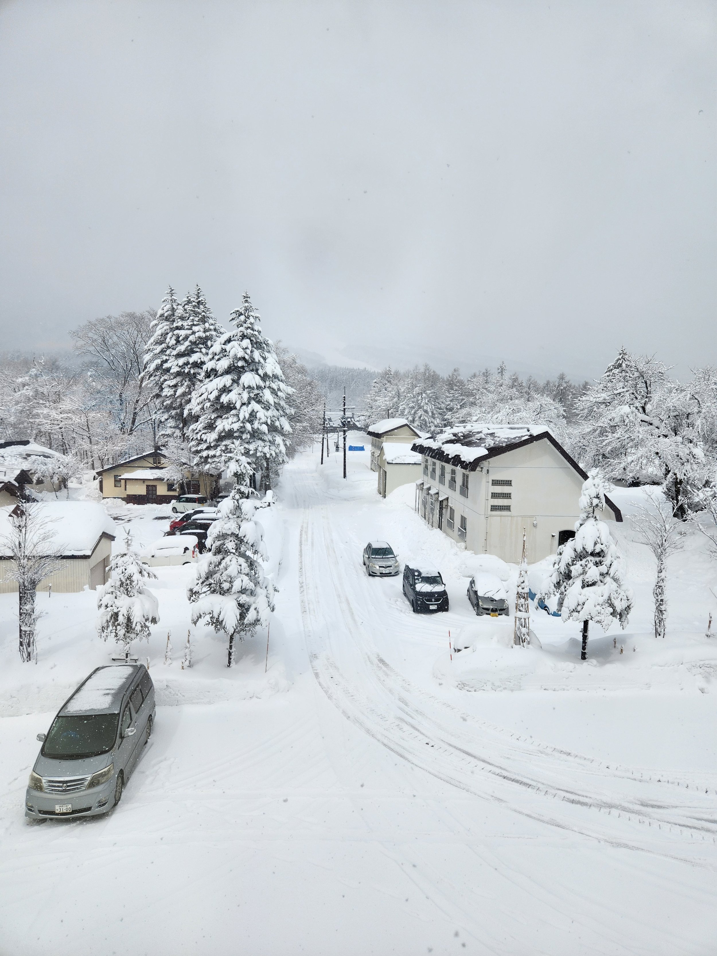 Rental Car vs. Hiring a Private Driver: 5 Things Nobody Tells You About Winter Driving in Japan