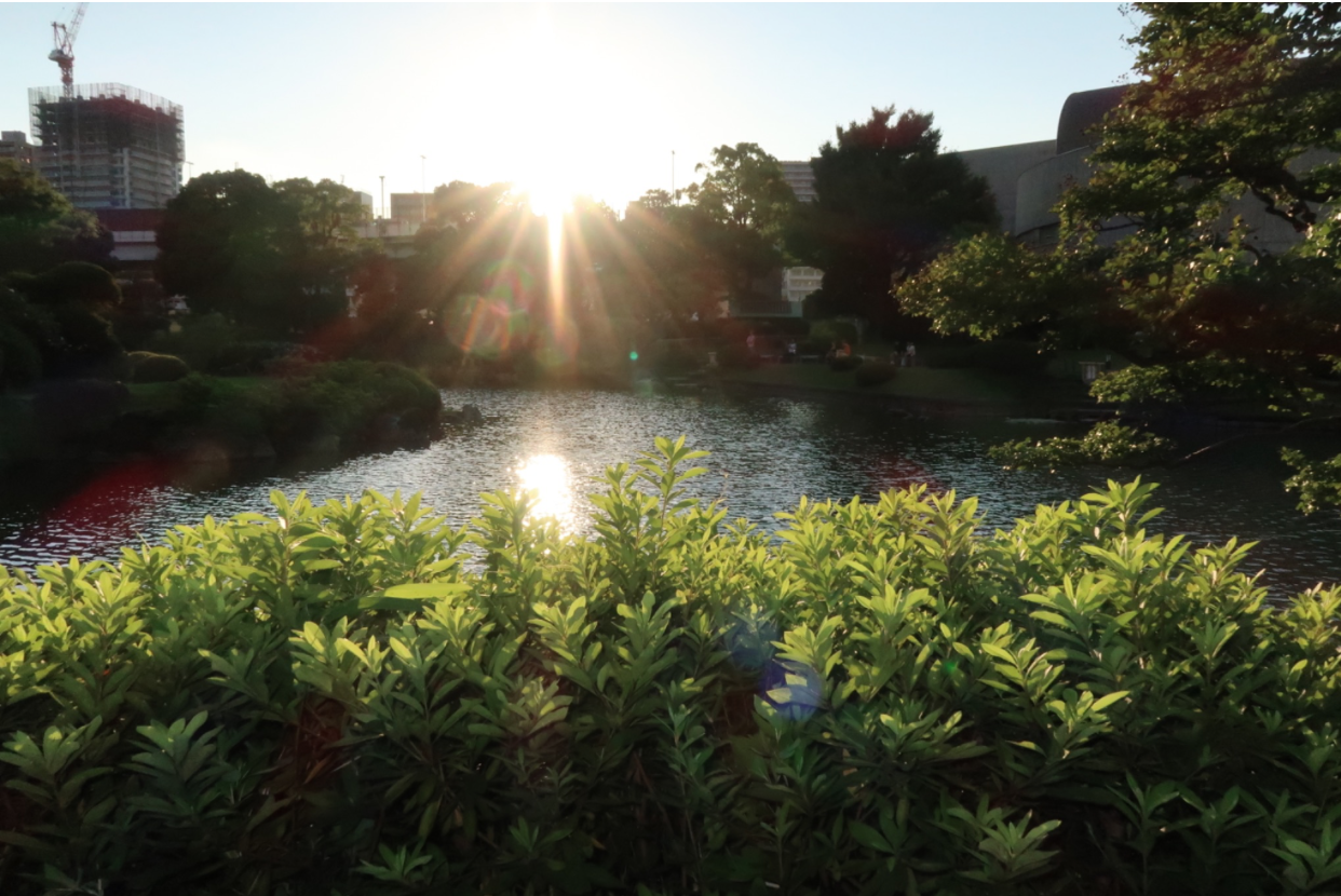 How to do Japan Without Being Exhausted: The Philosophy of Ma and Slow, Mindful Travel