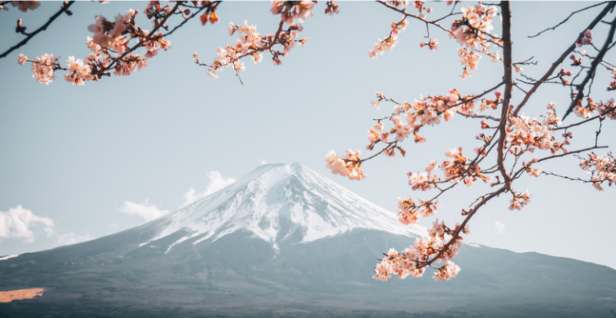 How to Prepare for the Weather in Japan and Why It Matters for Your Trip