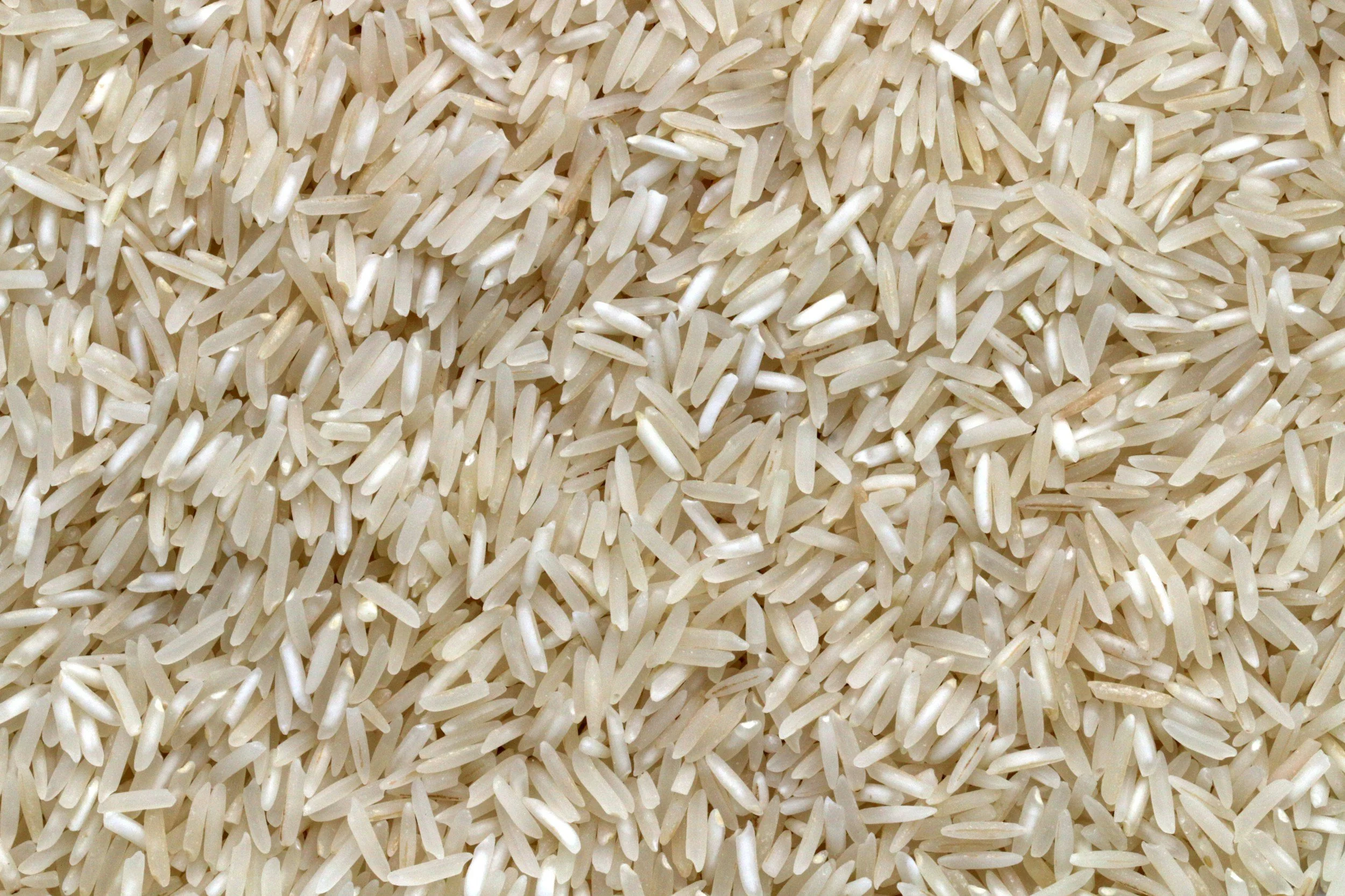 grain of rice