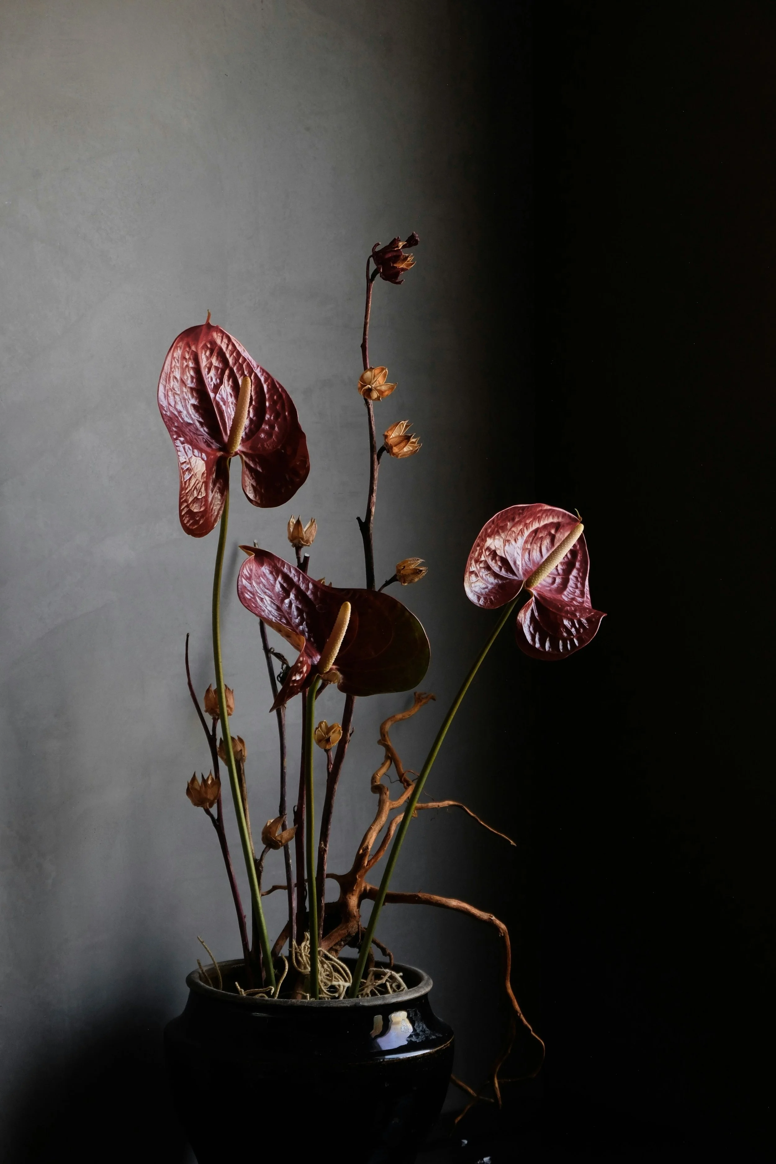Treasure Sessions: What can Ikebana teach Teams about Creativity and Cooperative Perspectives