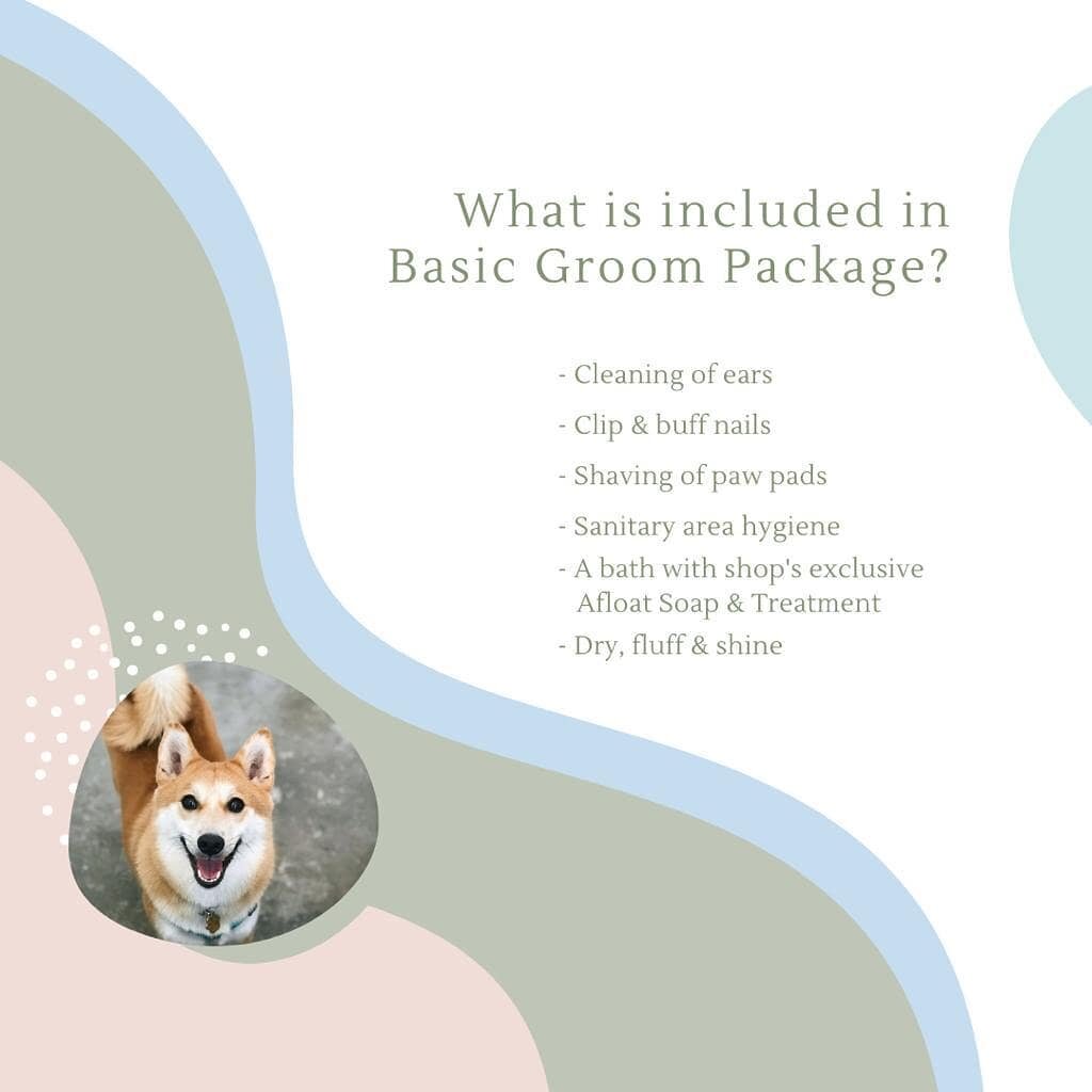 Here's a head up for what's included in the Basic Groom!

- Cleaning of ears
- Clip &amp; buffing of nails
- Shaving of paw pads
- Sanitary area hygiene
- Bath with shop's exclusive Afloat Soap &amp; Treatment
- Dry, fluff &amp; shine ✨

Need to know