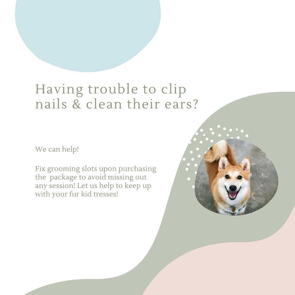🐕 Fur kid needs a nail trim and care on the ears more often? Or are u unsure of how to provide basic maintenance for your fur kid?

😉 Let us help, WhatsApp us to find out more! +65 8699 9179
