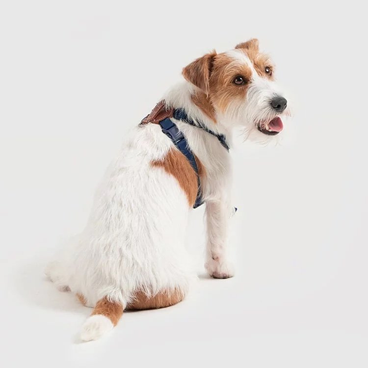 Harness M