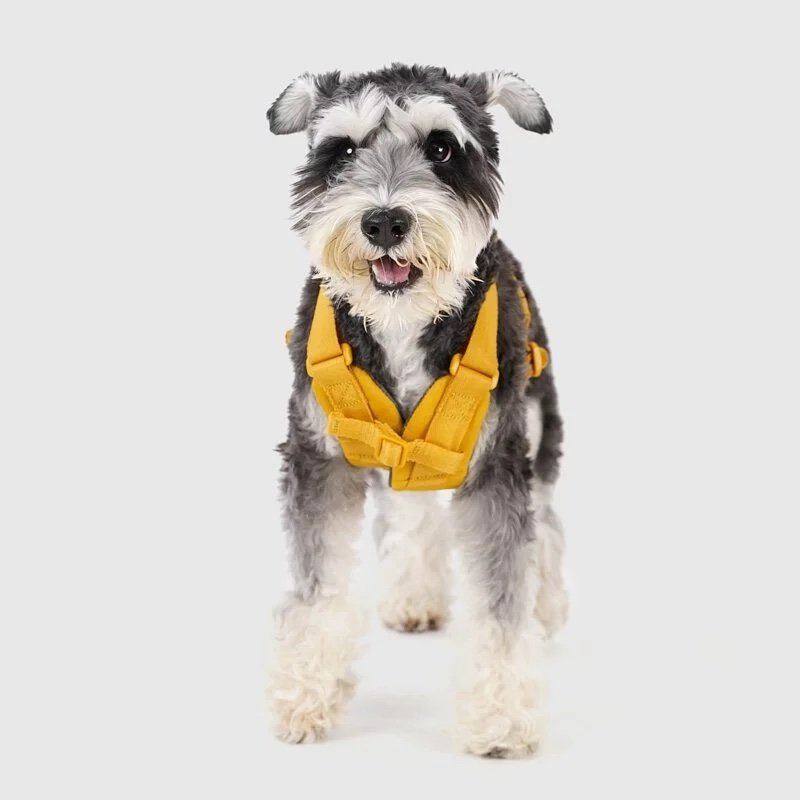 Harness-Yellow04.jpeg
