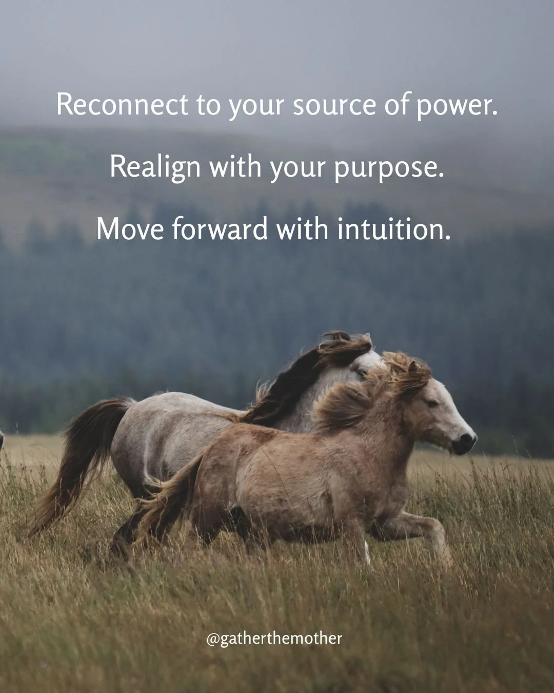 Happy Lunar New Year 🔥✨🐴 This year asks us to find and follow our intuition. A time for strength and a time for softness. Call in both, and give yourself grace in the process. 

#lunarnewyear #firehorse #astrology #motherhood