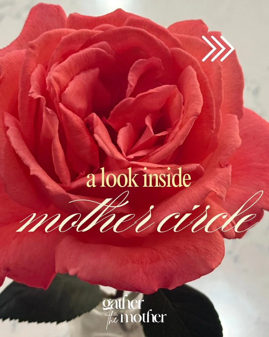 If you&rsquo;ve been curious about Mother Circle, here&rsquo;s what we&rsquo;ll be exploring over our 8 weeks together.

Mother Circle is an in-person gathering for women in all phases and ages of mothering who could use a space to reflect, reconnect