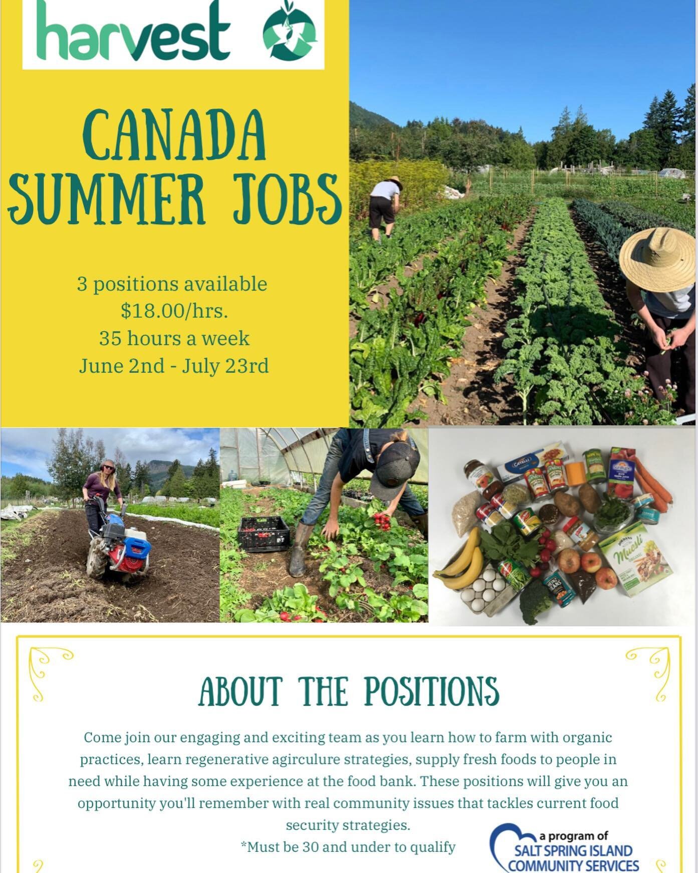 Join The Harvest Farm Team Today  Please Send Your Resume To scazabon@ssics.ca 🥕 🥬🌽🧄