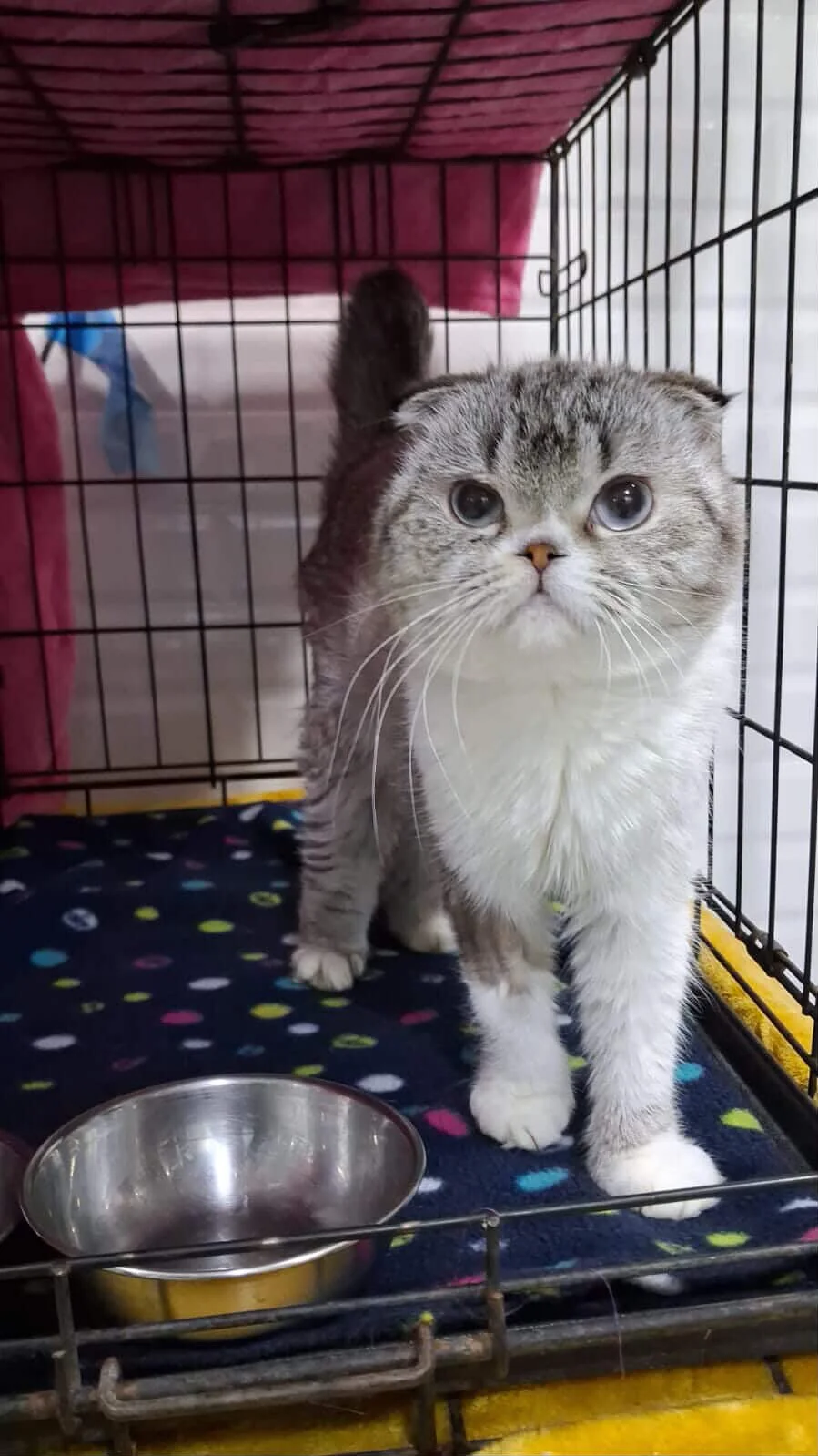 5F4E713A-AC44-42C4-9337-E6FFB5CA73CE 2.JPG